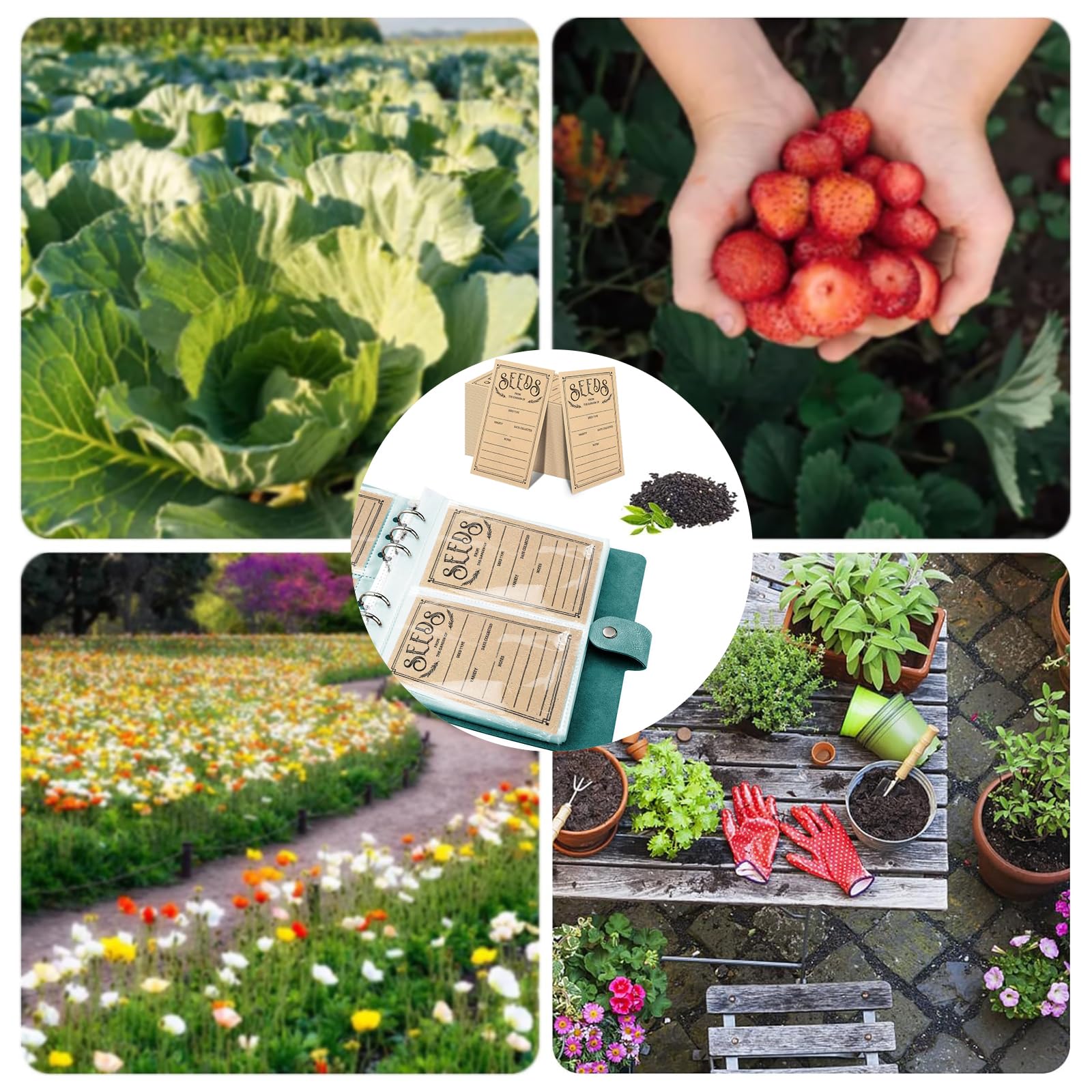 Lot de 100 enveloppes de stockage de semences, organiseurs auto-scellants pour jardin, paquets d'économie de graines idéales pour chaque jardinier (vert)