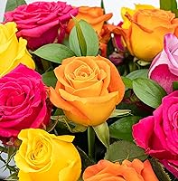 Vista 4 de 24 rosas arcoiris de tallo largo