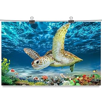 Amazon.co.jp: ウミガメ ウォールアート ポスター - カメの絵画