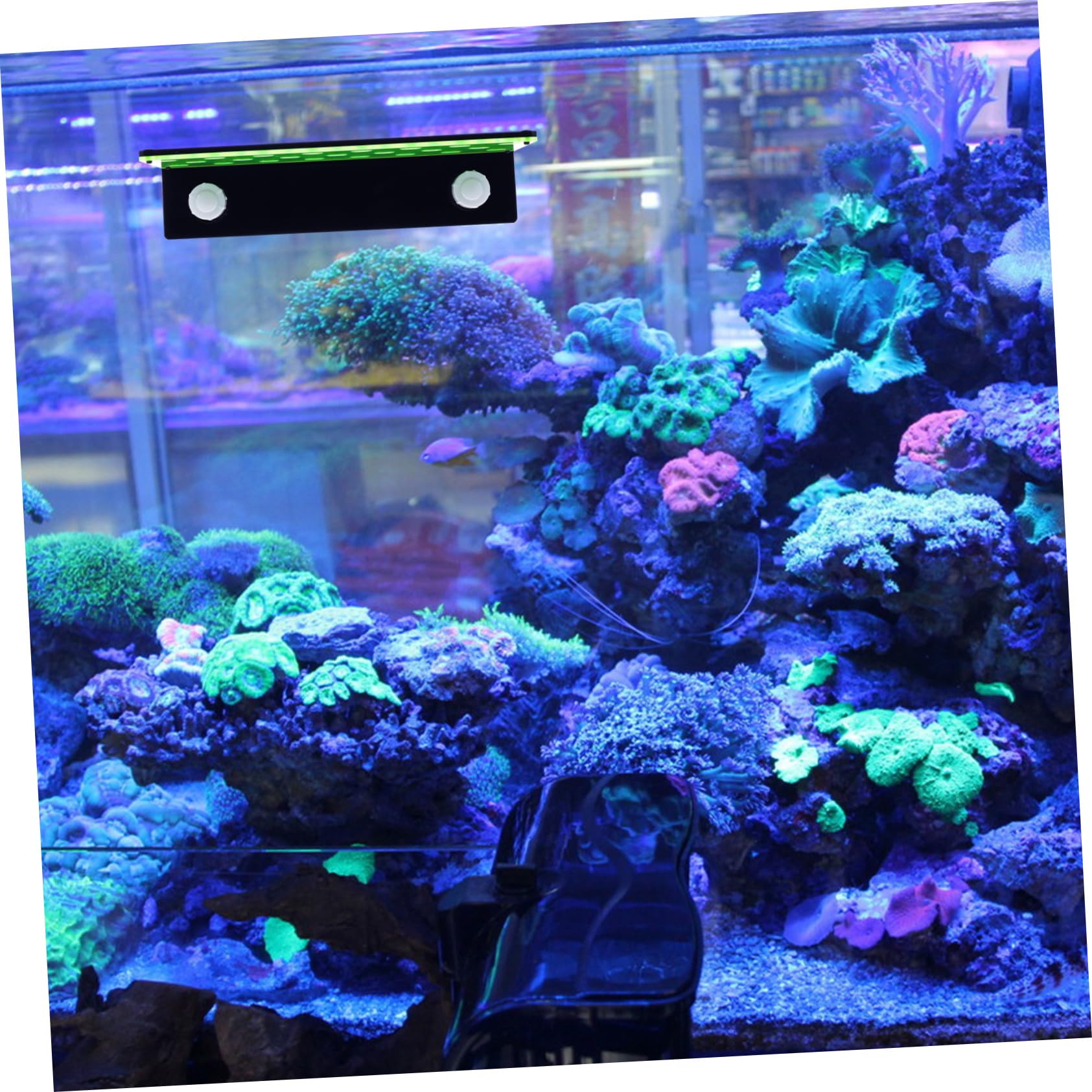 YARNOW Support à Boutures de Corail Aquarium 23 Trous Double Couche | Acrylique, pour Coraux Marins et Fragments Cassés, Placement et Fixation Ferme