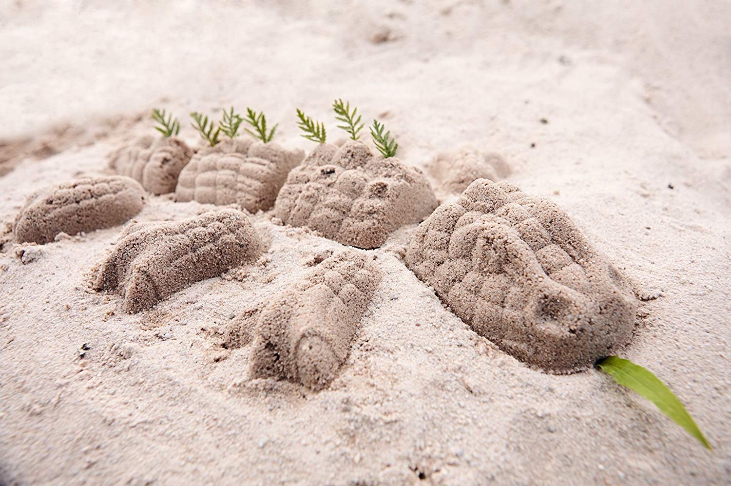 Haba - Ensemble de Moules Monstre en Sable, 301743
