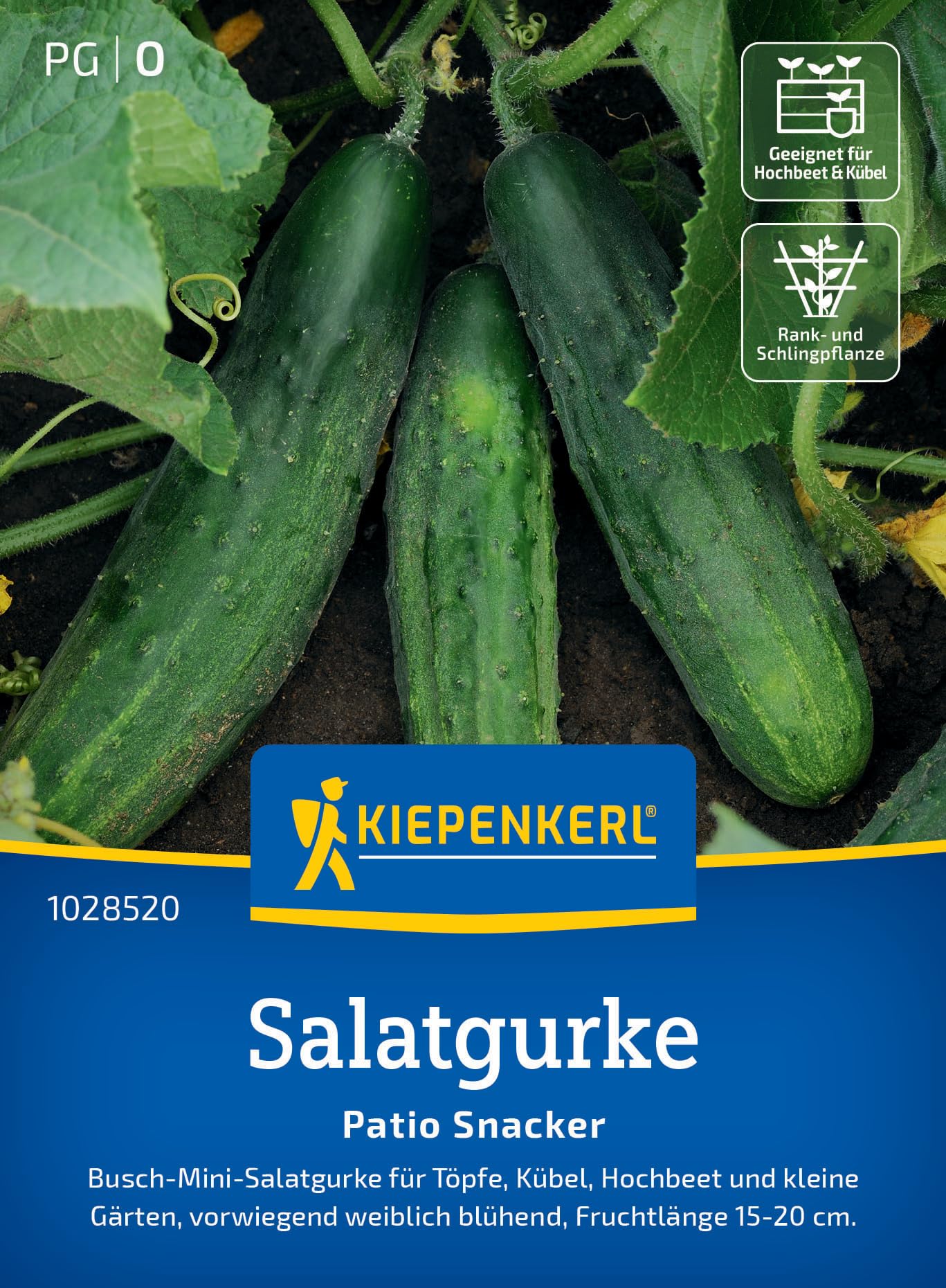 Kiepenkerl Salatgurkensamen Patio Snacker 1028520 - Kompakte Gurkensamen für kleine Gärten, ideal als Snack oder in Salaten, frische bitterfreie Gurken