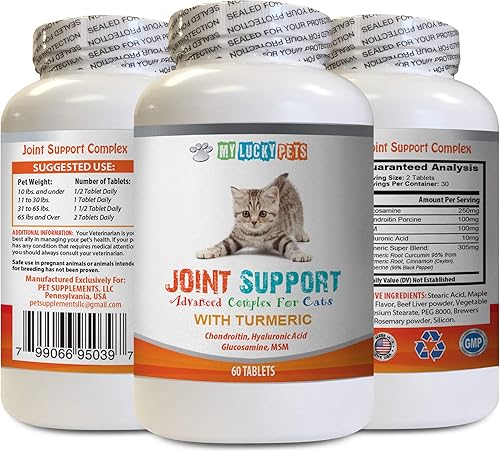 MY LUCKY PETS LLC Extend Joint Care for Cats - CAT Joint Support with Turmeric Complex - Hip Care - Premium MSM - glucosamina chondroitin msm for