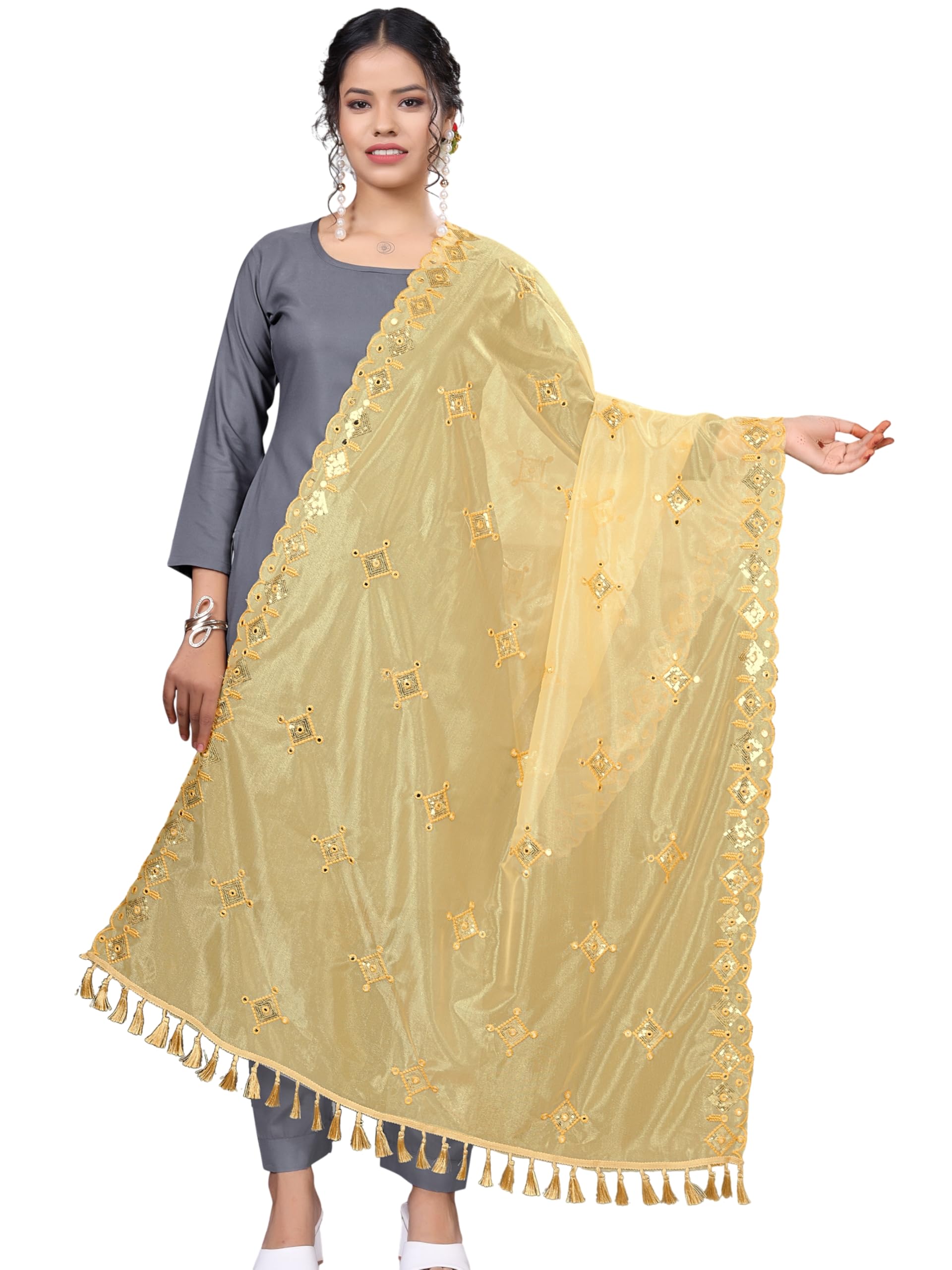 kemza Organza Embroidered Mirror Work Dupatta with Lace & Tassels Border for Women & Girls-picture-40