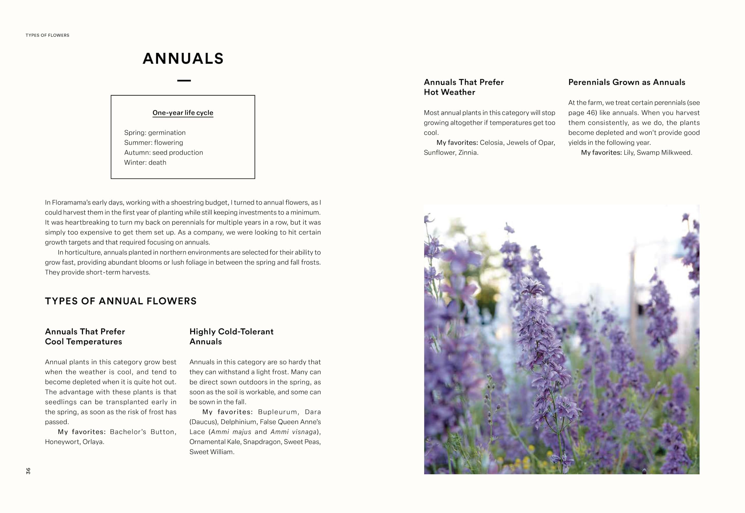 Floramama: From Garden to Bouquet, Growing Flowers for Market