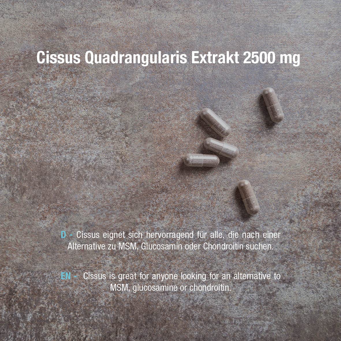 Amando Perez Cissus Quadrangularis 2.500 mg hochdosiert – 90 vegane Kapseln – 5:1 Extrakt standardisiert auf 20% Ketosterone – laborgeprüft in Deutschland & ohne Zusatzstoffe – Vorrat 1 Monat