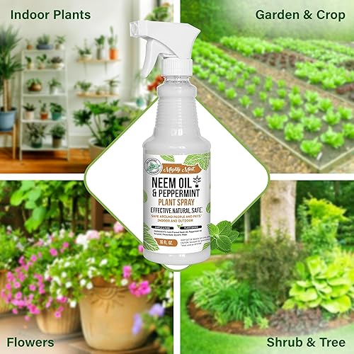Miniatura 4 de Mighty Mint Aceite de neem y menta prensado en frío, aerosol natural para plantas, 16 onzas