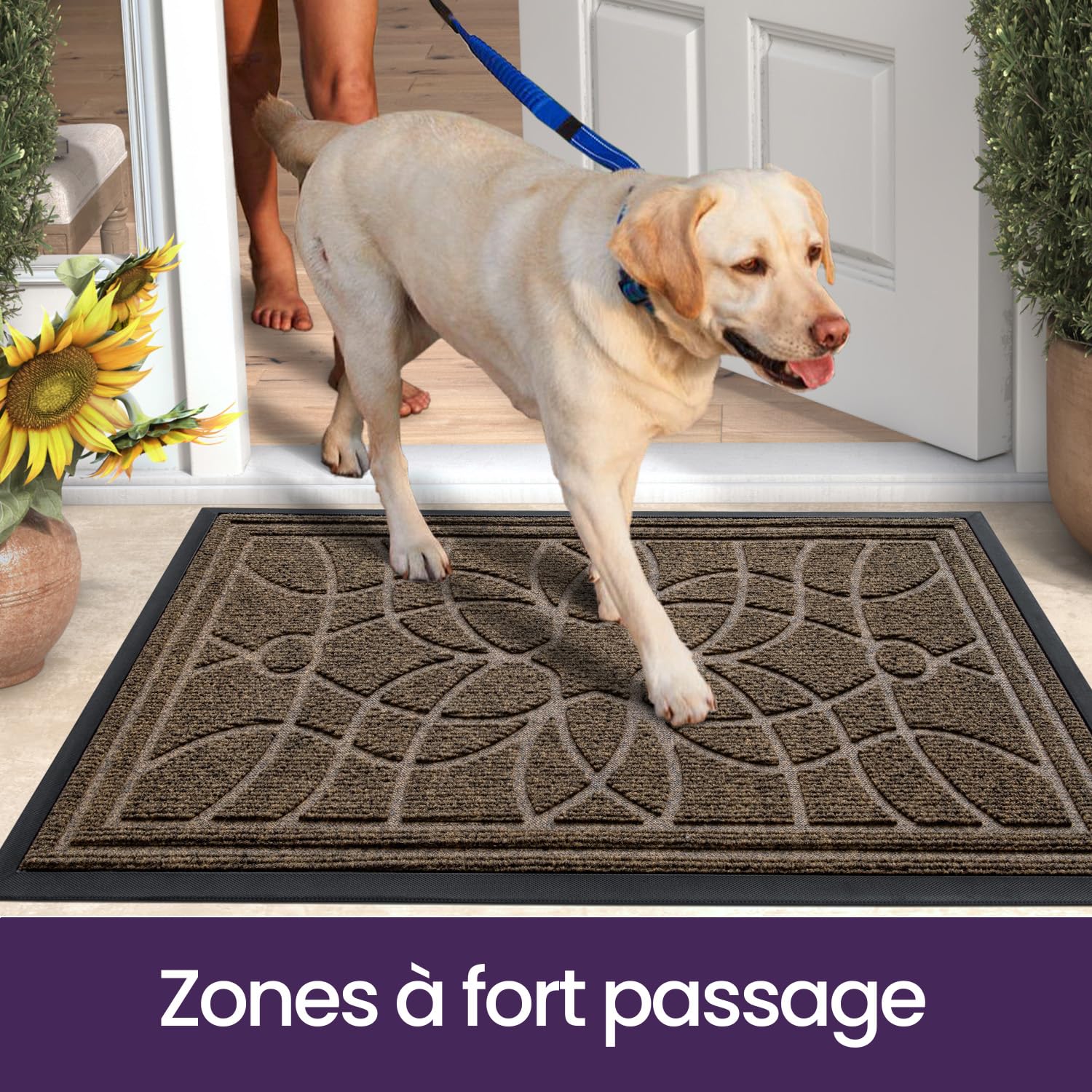 DEXI Paillasson Interieur Entree 60 x 120 cm, Tapis d'entrée Antidérapant, Tapis de Porte Absorbant et Résistant, Tapis pour Intérieur, Extérieur, Couloir, Jardin, Cour, Brun