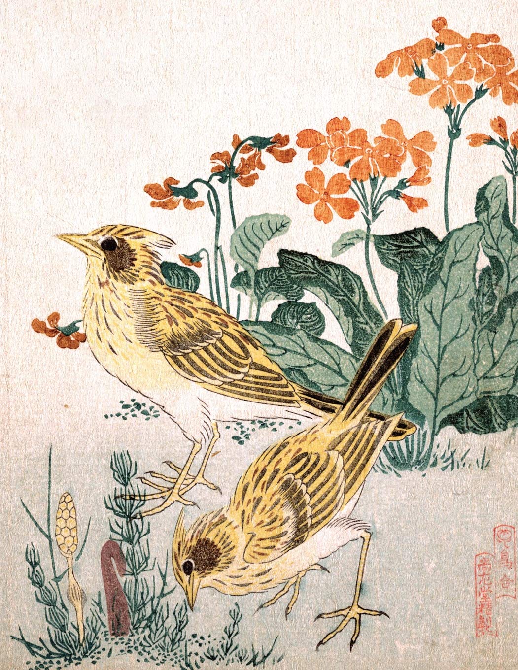 Genkouyoushi Manuscript Paper: for Japanese Hiragana, Katakana, Kana & Kanji Writing Practice Composition Notebook and Journal, Cover Features Skylarks and Primroses: Volume 7 (Japanese Artwork)