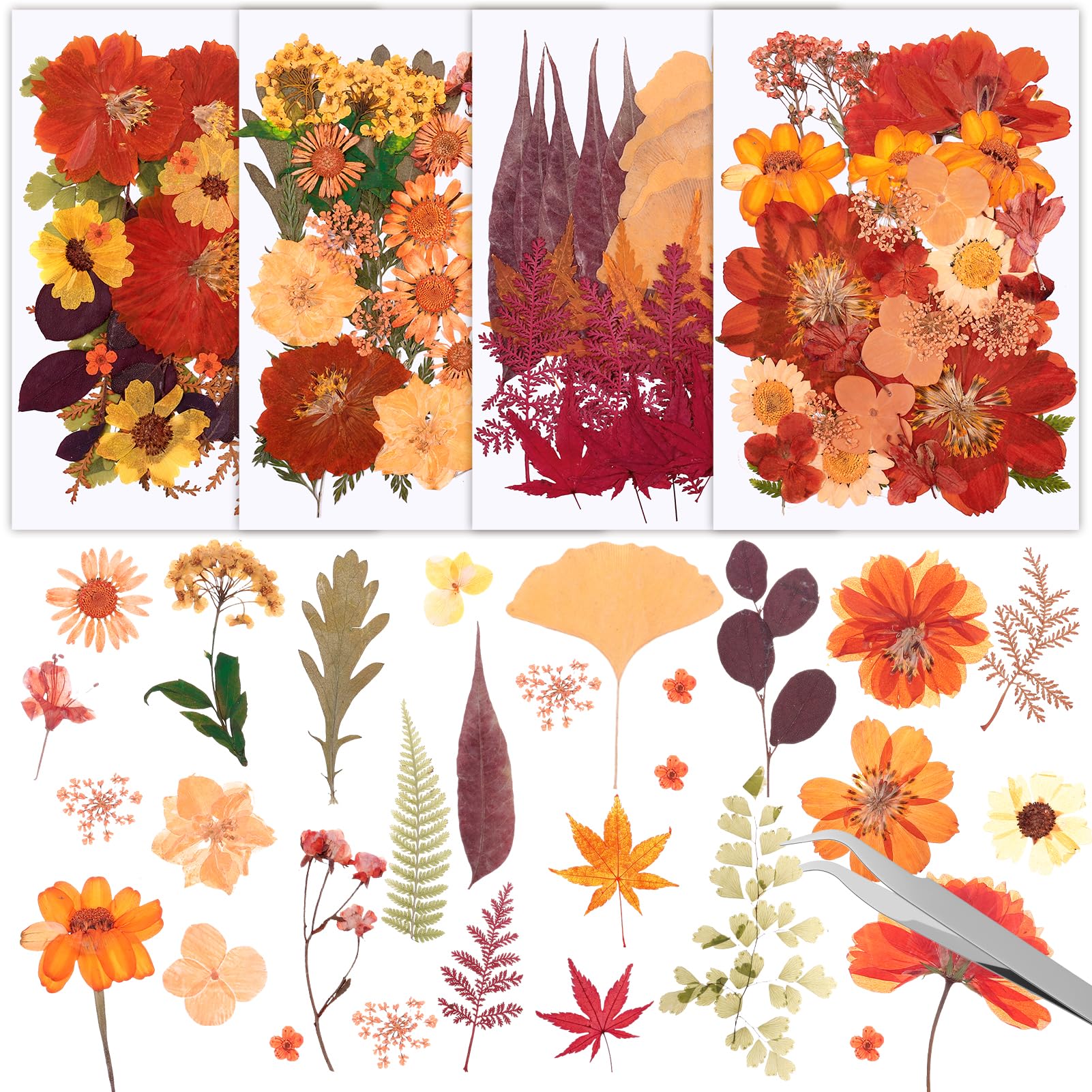 100 Pcs Dried Pressed Flowers,Real Natural Dried Wildflowers Leave with Tweezer Floral Decoration for DIY Crafts,Candle Making,Resin Mold and Scrapbooking Mixed Orange