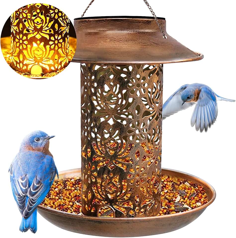 Best Bird Feeders for Small Birds