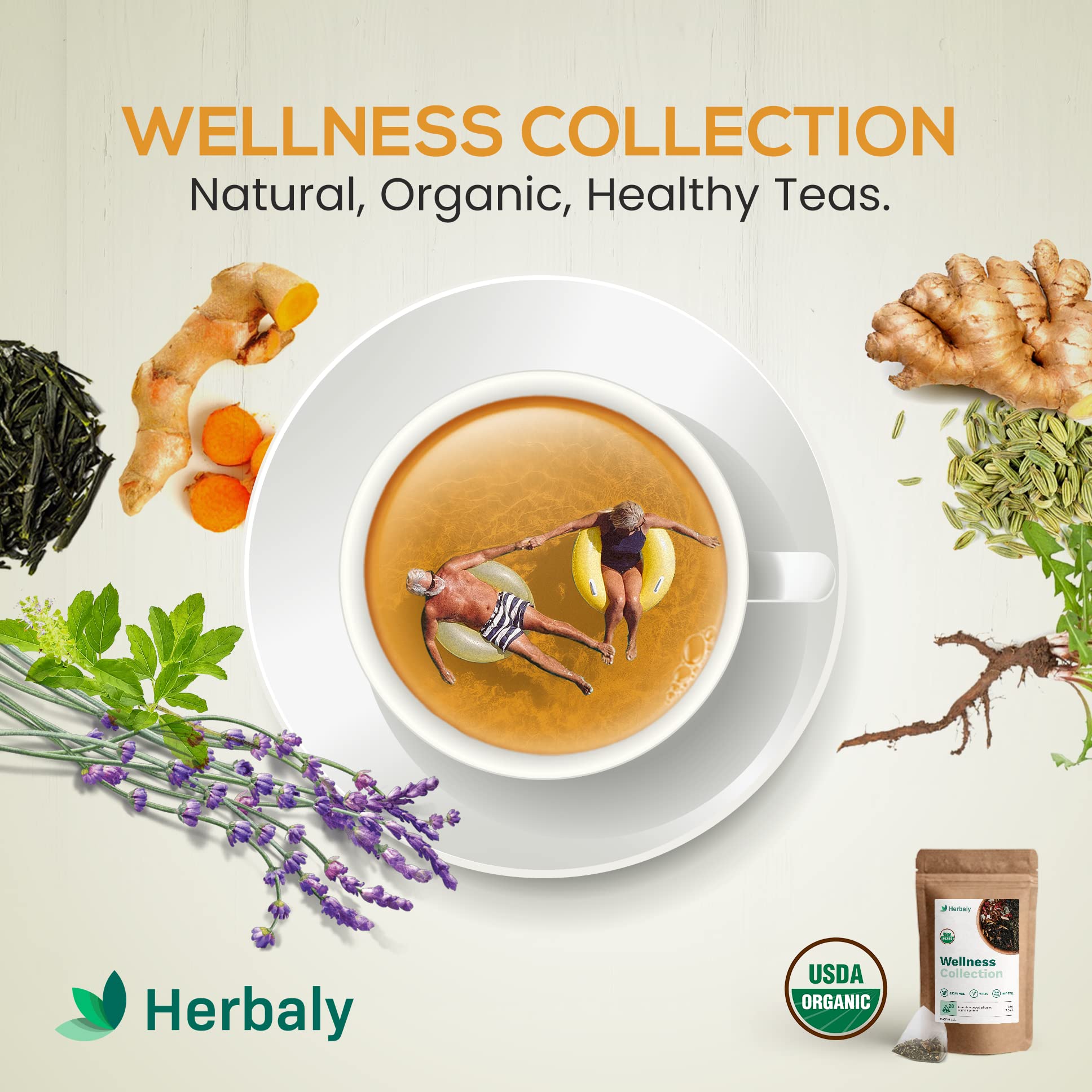 Buy Herbaly Wellness Collection Organic Herbal Ginger Tea, 70 g, 28