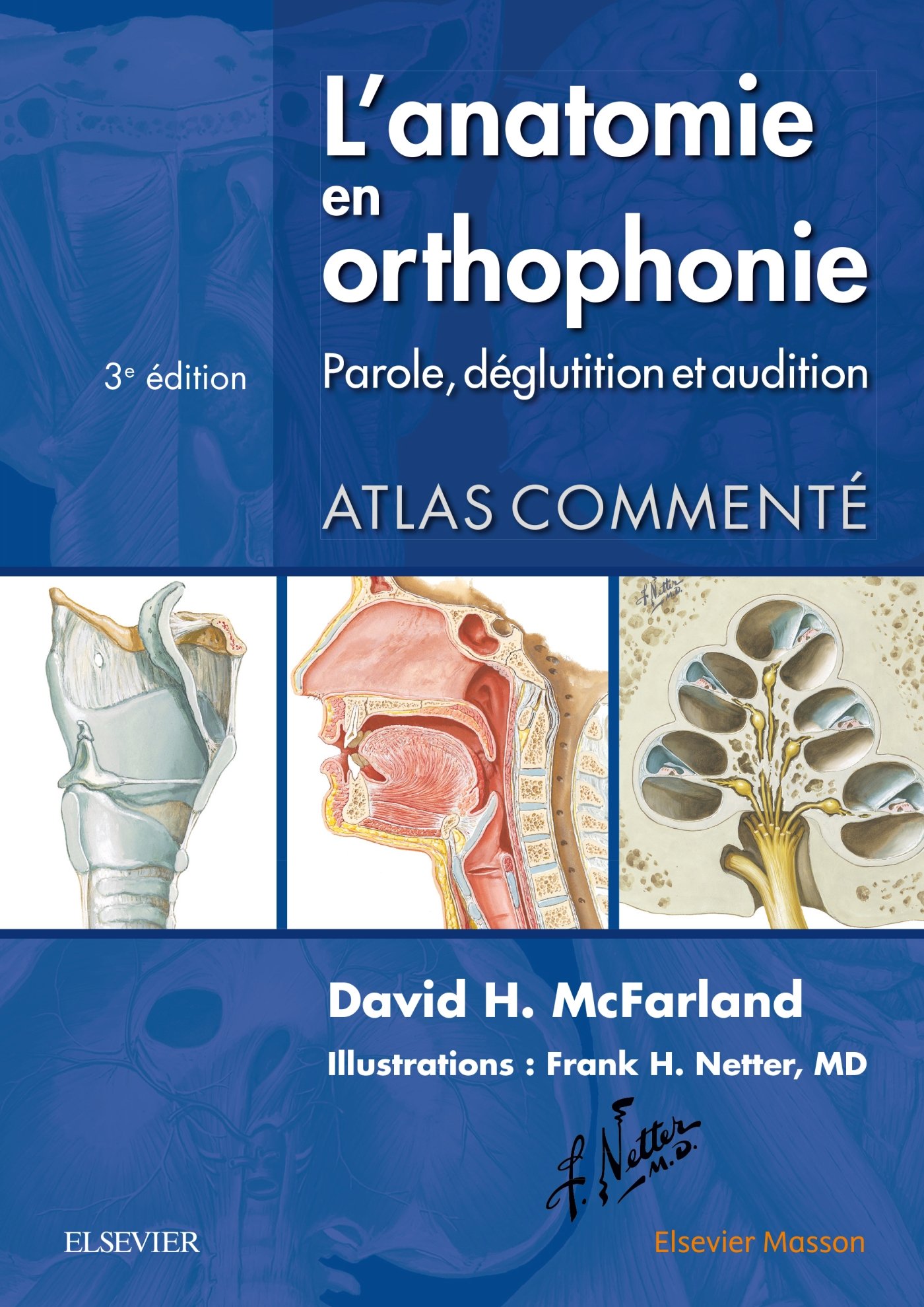 L'anatomie en orthophonie: Parole, déglutition et audition