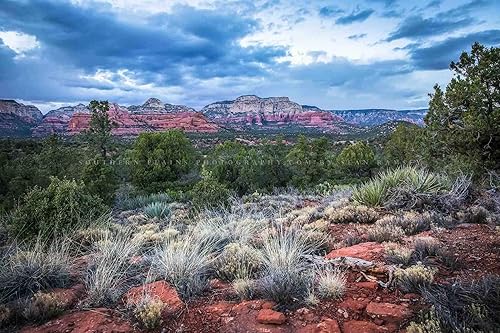 Western Photography Print (Not Framed) Picture of Red Rocks and Desert Landscape on Chilly Spring Evening near Sedona Arizona Nature Wall Art