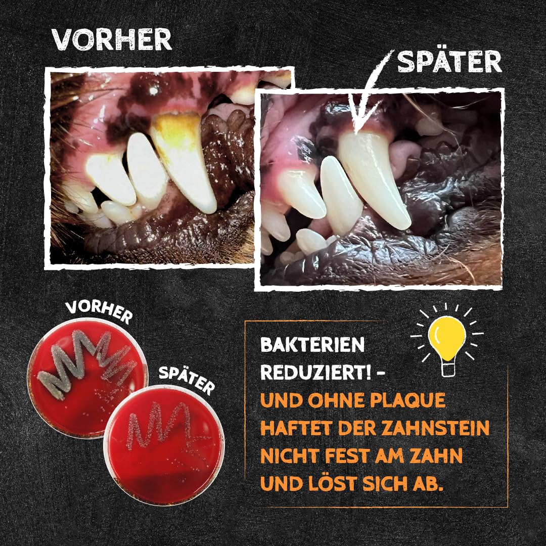 QCHEFS CHEESIES Hundeleckerli bei Mundgeruch, Zahnfleischentzündung als Zahnsteinentferner durch natürlich antibakterielle Zahnpflege ohne Dentalspray oder Zahnbürste für die Gesundheit