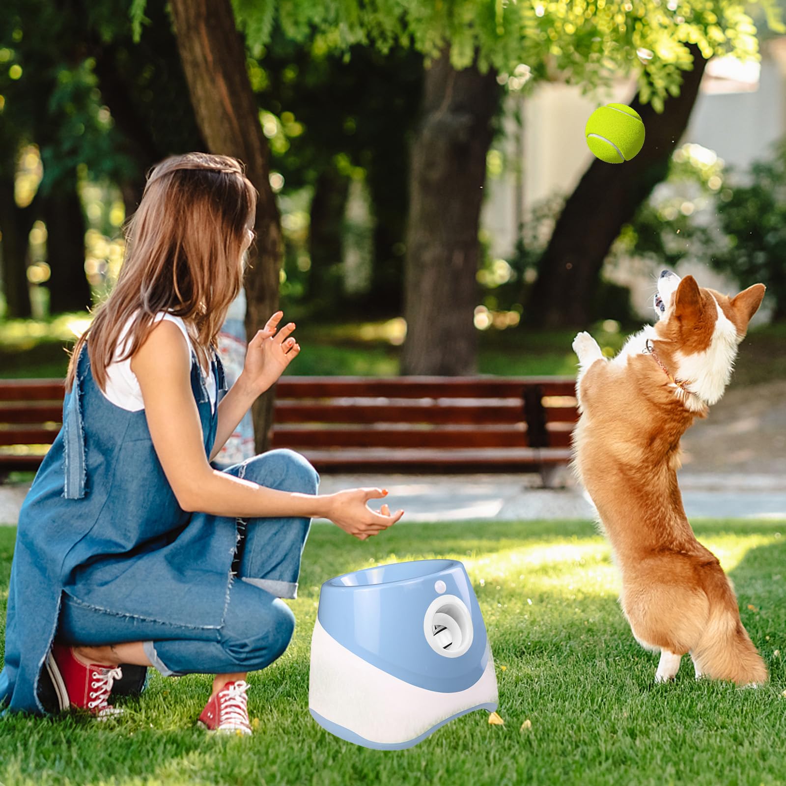 HAMON Lanceur de balles automatique pour chiens, machine à lancer des balles avec 6 balles de tennis, balle interactive pour chiens de petite et moyenne taille, portée de lancer entre 3-9 M
