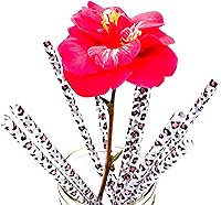 Vista 3 de Pajitas de plástico reutilizables, 10.25 pulgadas, sin BPA, aptas para lavavajillas, se adapta a la mayoría de frascos Mason, vasos de 20 onzas y 32