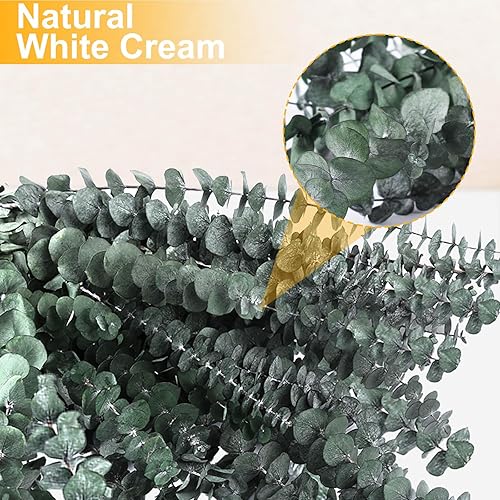 Miniatura 6 de 12 tallos de eucalipto secos para ducha, planta de ducha preservada de 17 pulgadas, hojas de eucalipto reales frescas para colgar en la ducha