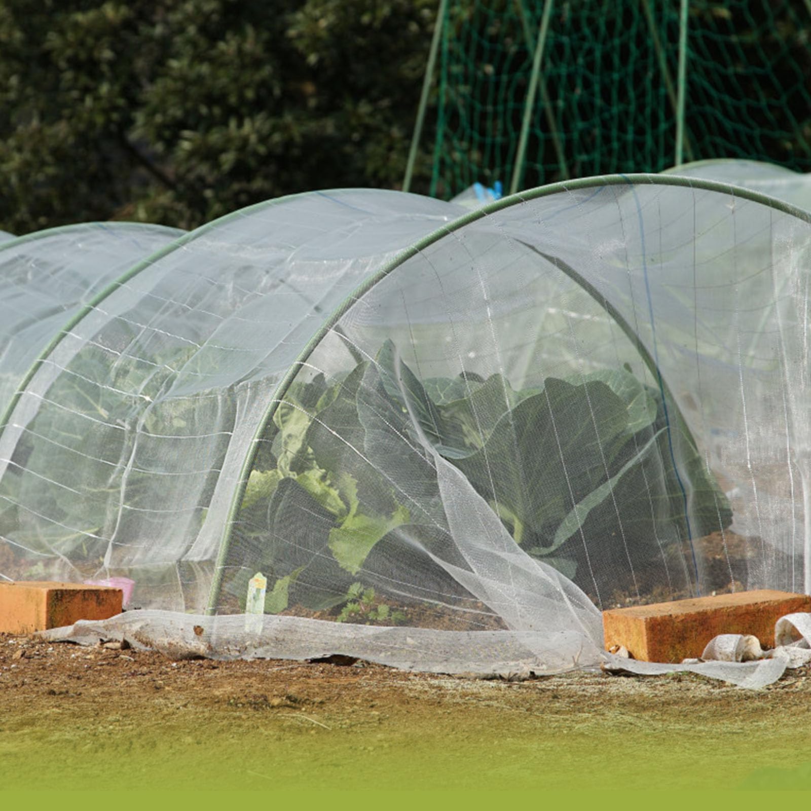Filet à légumes de Jardin 3 x 6 m - Filet de Protection Contre Les Insectes pour Plantes et Légumes