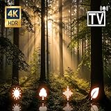 tvstreamwave