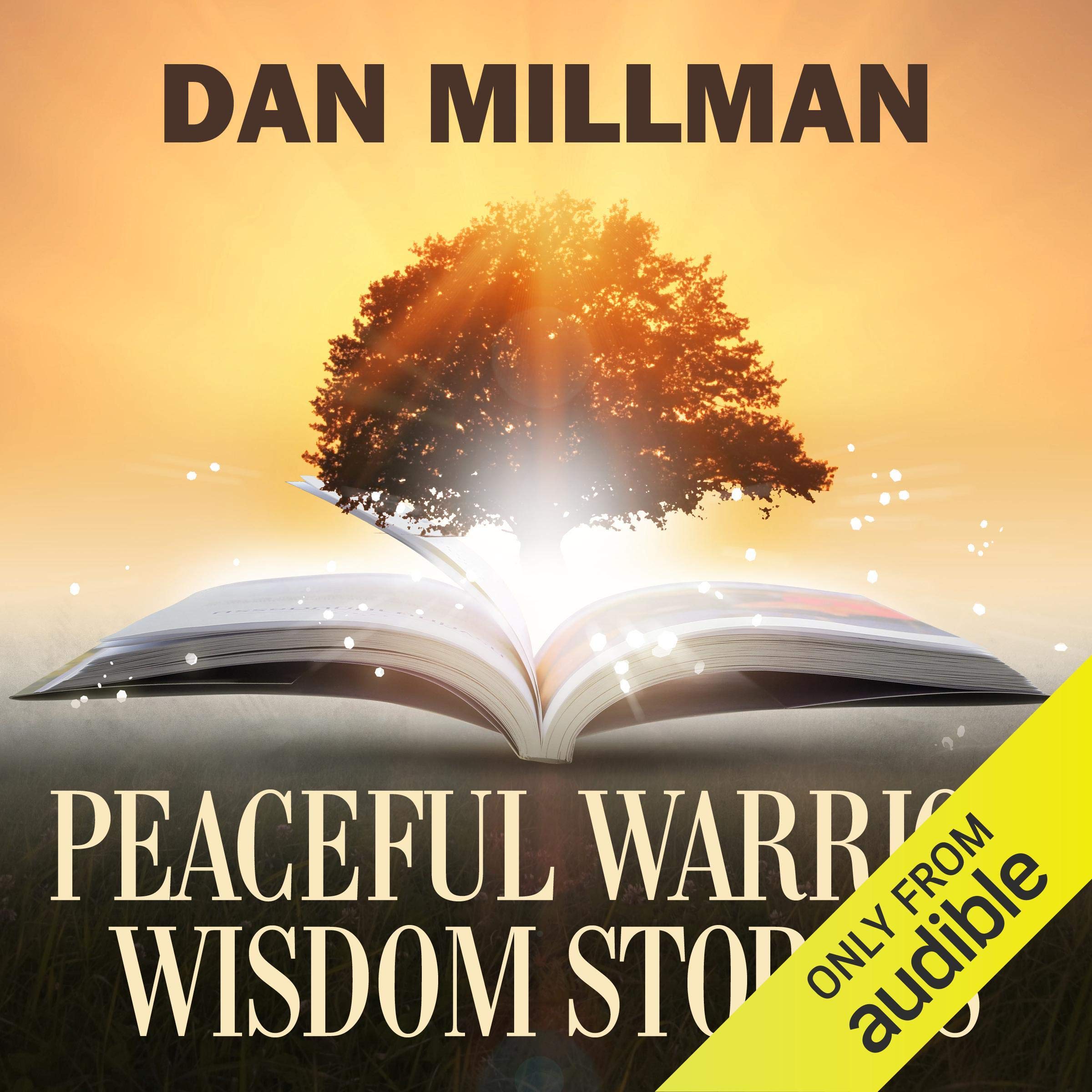 Peaceful Warrior Wisdom Stories