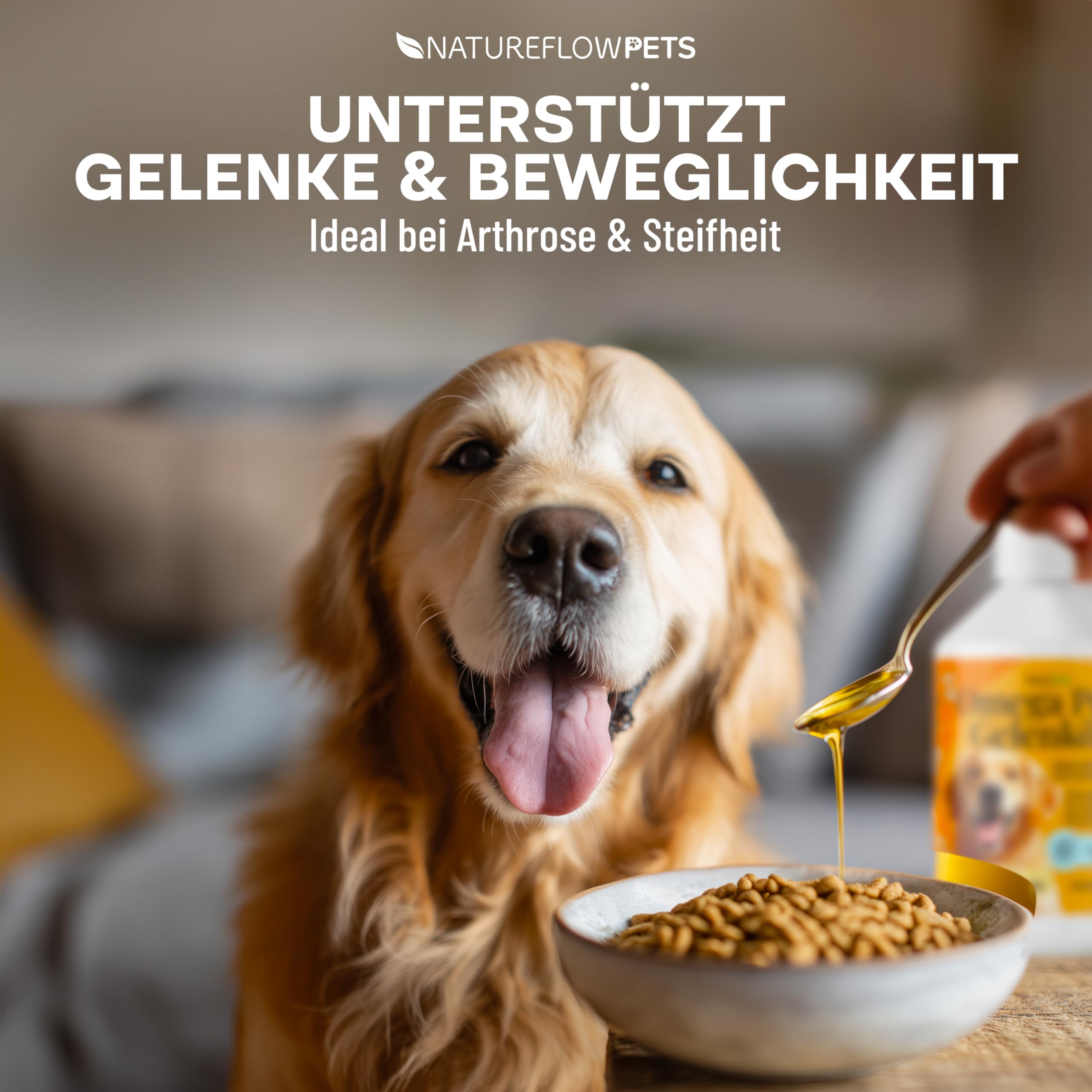 Omega Pro Gelenköl für Hunde 500ml – Lachsöl Mix mit Leinöl, Hanföl & Borretschöl – Omega 3 & 6 Fischöl für Gelenkstoffwechsel bei Arthrose – für Haut & Fell – Made in Germany