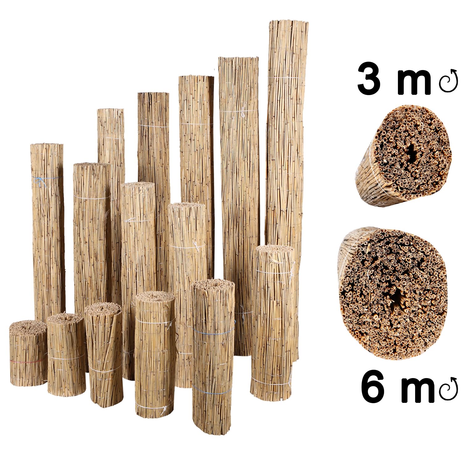 H4L Schilfmatte Sichtschutzmatte Schilfrohrmatte Natur Sichtschutz Windschutz Schilf 600x80cm