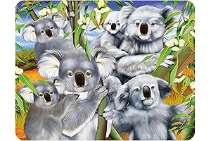 Koala Cuddle Deluxebase Lenticular 3D Koala Magnet