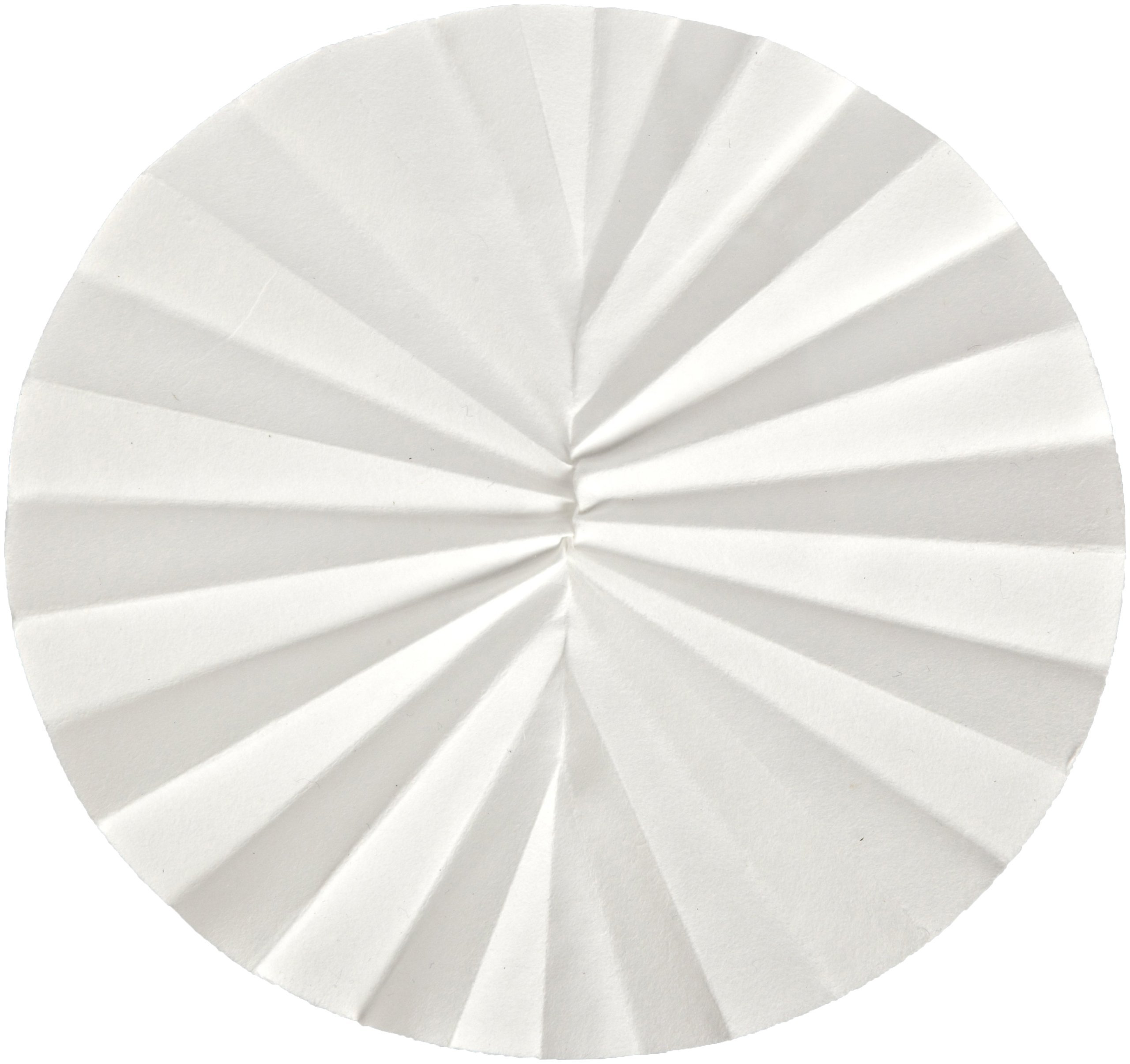 Whatman 10312247 Quantitative Folded Filter Paper, 8-10 Micron, Grade 598-1/2, 185mm Diameter (Pack of 50)