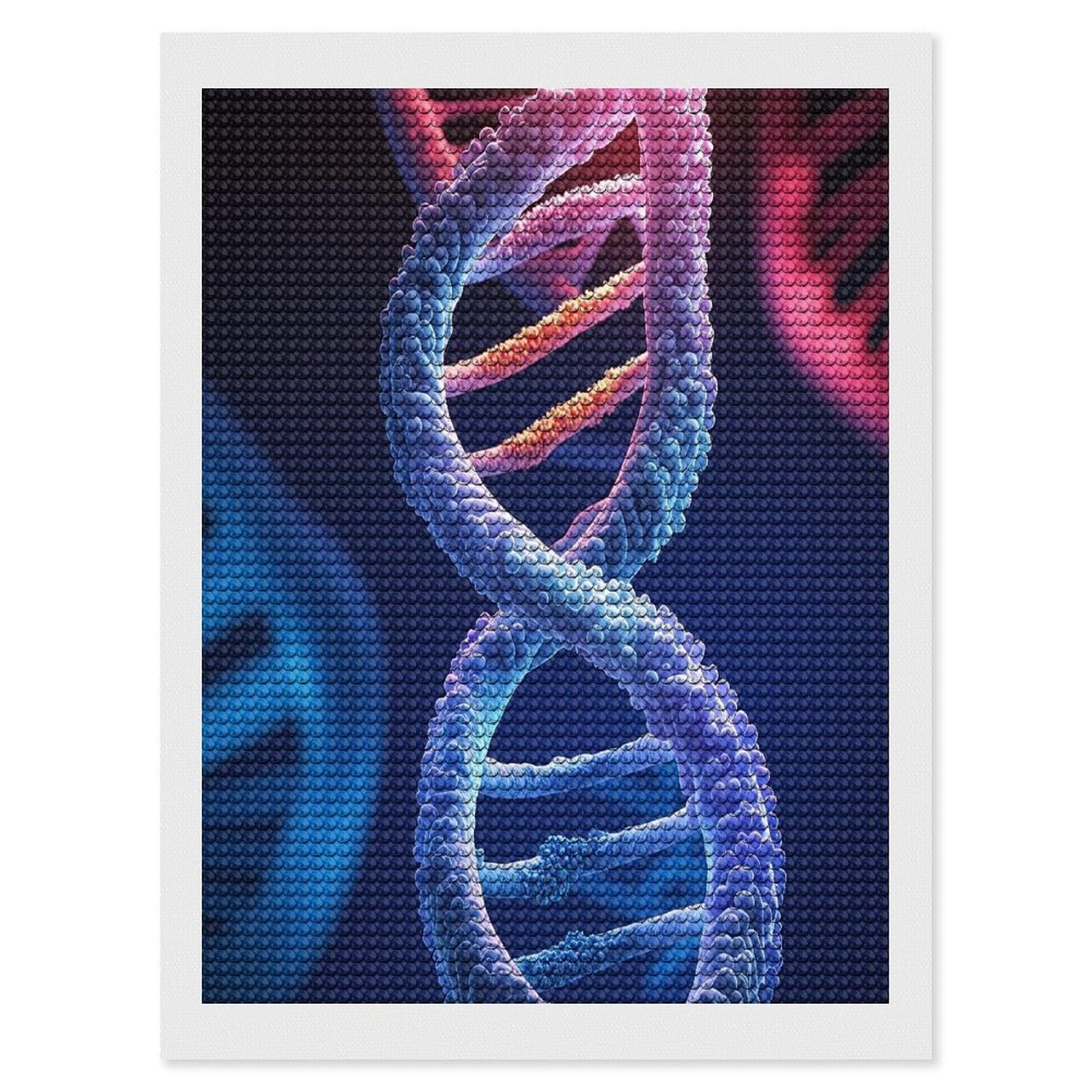 FekiLoot DNA Genetic Helix Diamond Painting Kits for Beginners DIY Diamond Art Kits for Adults Full Drill Round Diamond Dot Gem Art Painting Fun DIY Crafts for Home Kitchen Wall Decor Gift 12"x16"