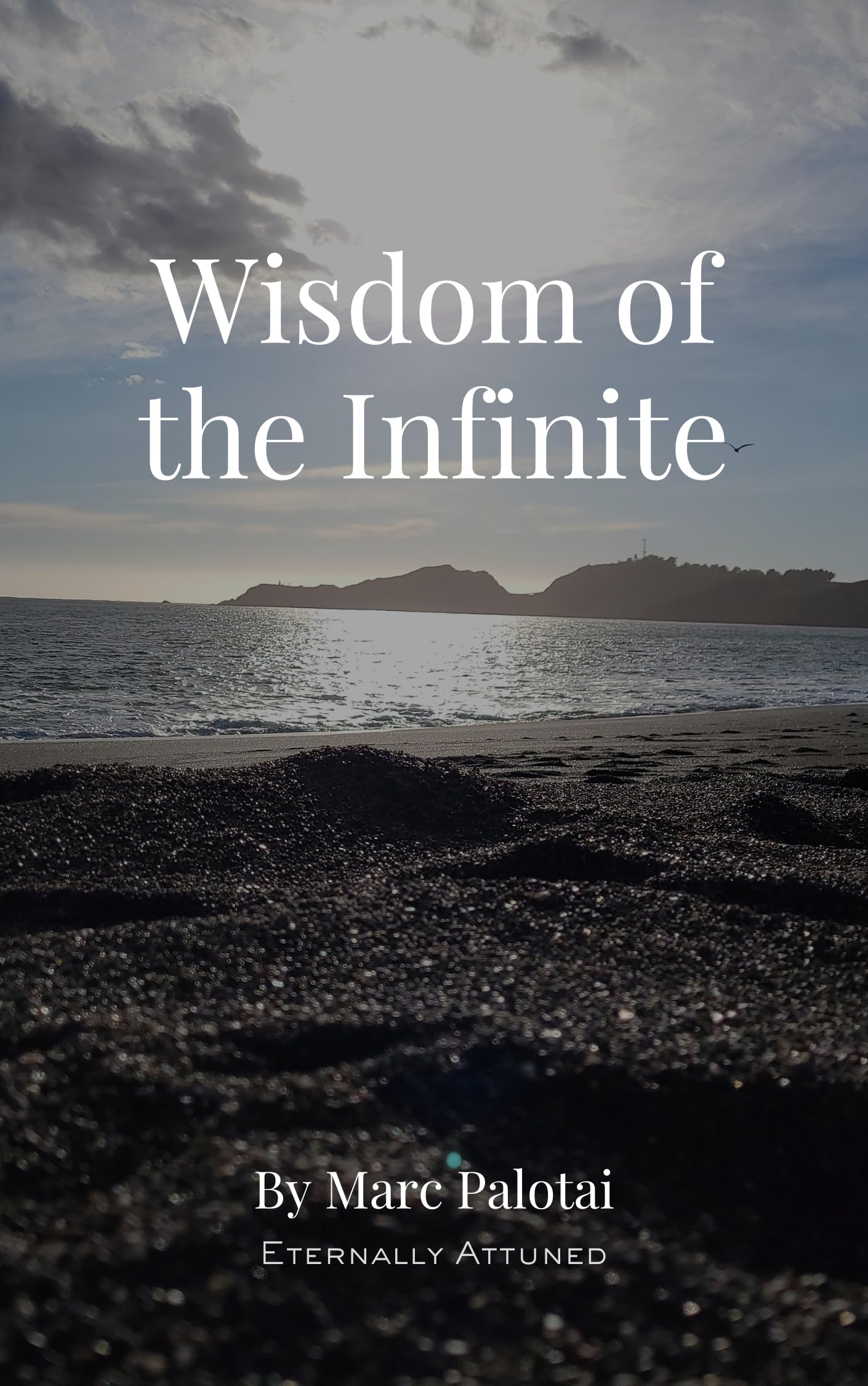 Wisdom of the Infinite: Consciousness, Reality, Meaning, and a Practical Path to Inner Wholeness