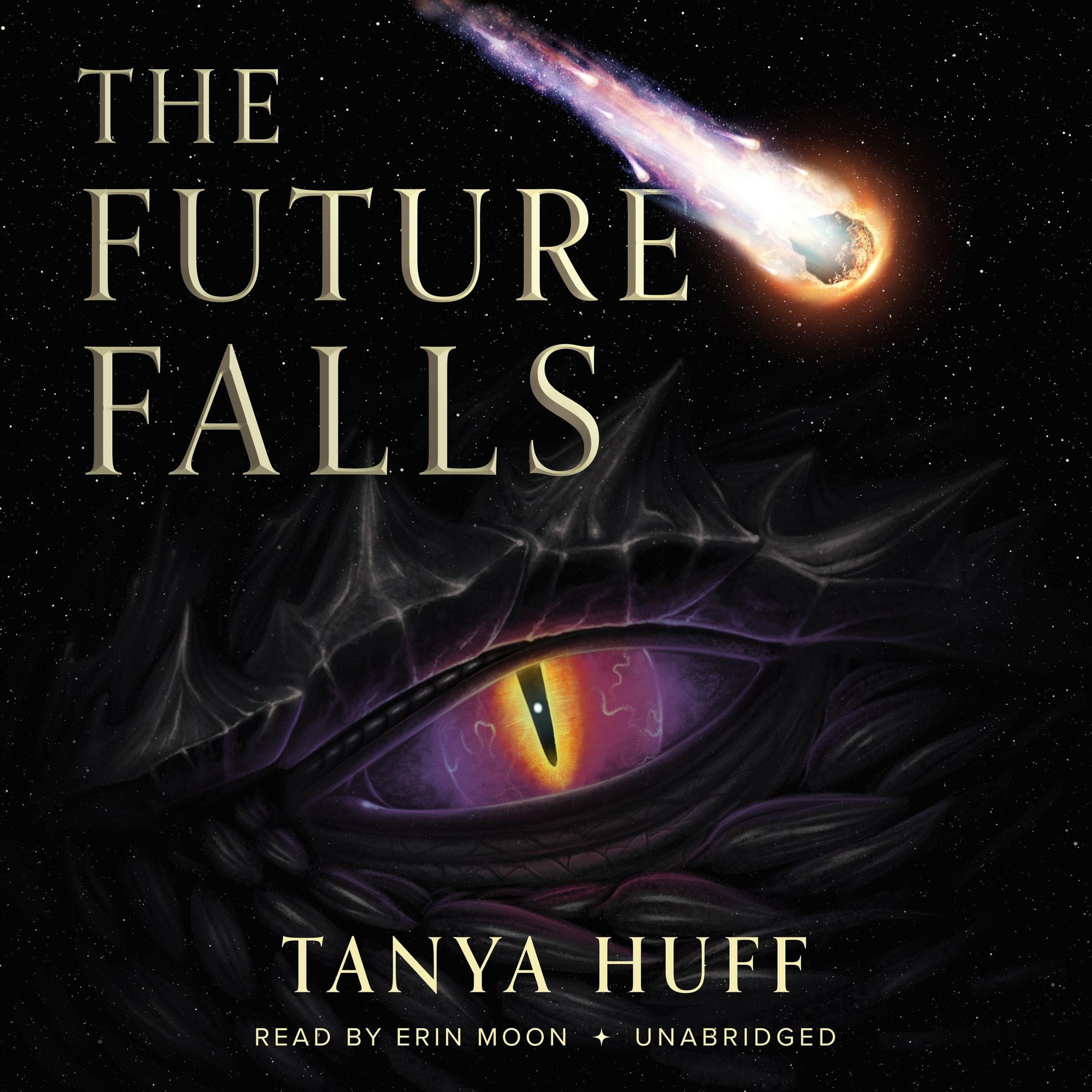 Cover art for The Future Falls