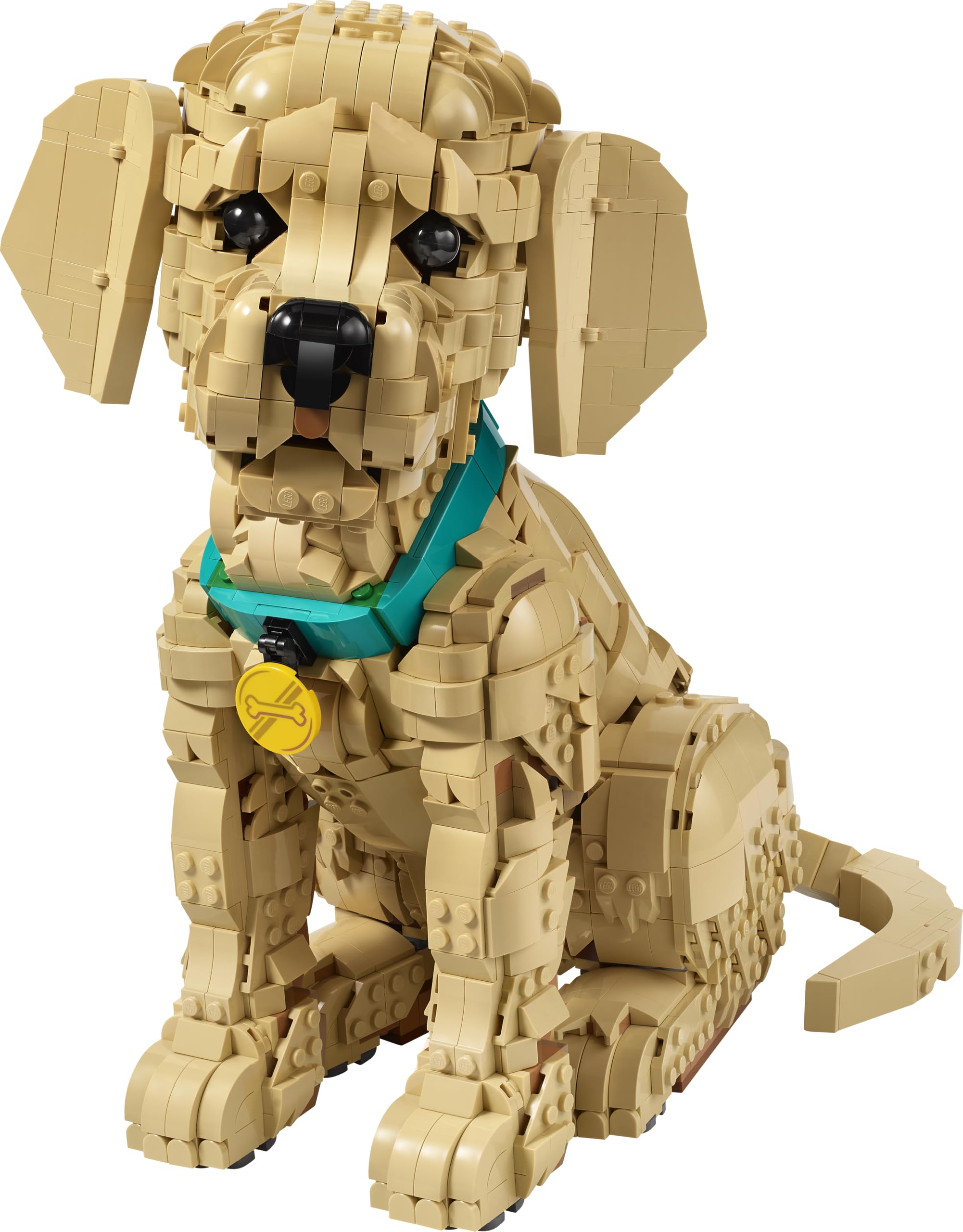 LEGO Icons Cucciolo di Golden Retriever - Kit Modellismo per Adulti - Modello 3D di Animale da Esposizione con Collare e Medaglietta per Cane - Decorazione Fai da Te - Idea Regalo Artigianale - 11384