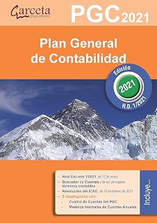 Plan General de Contabilidad: Pgc 2021