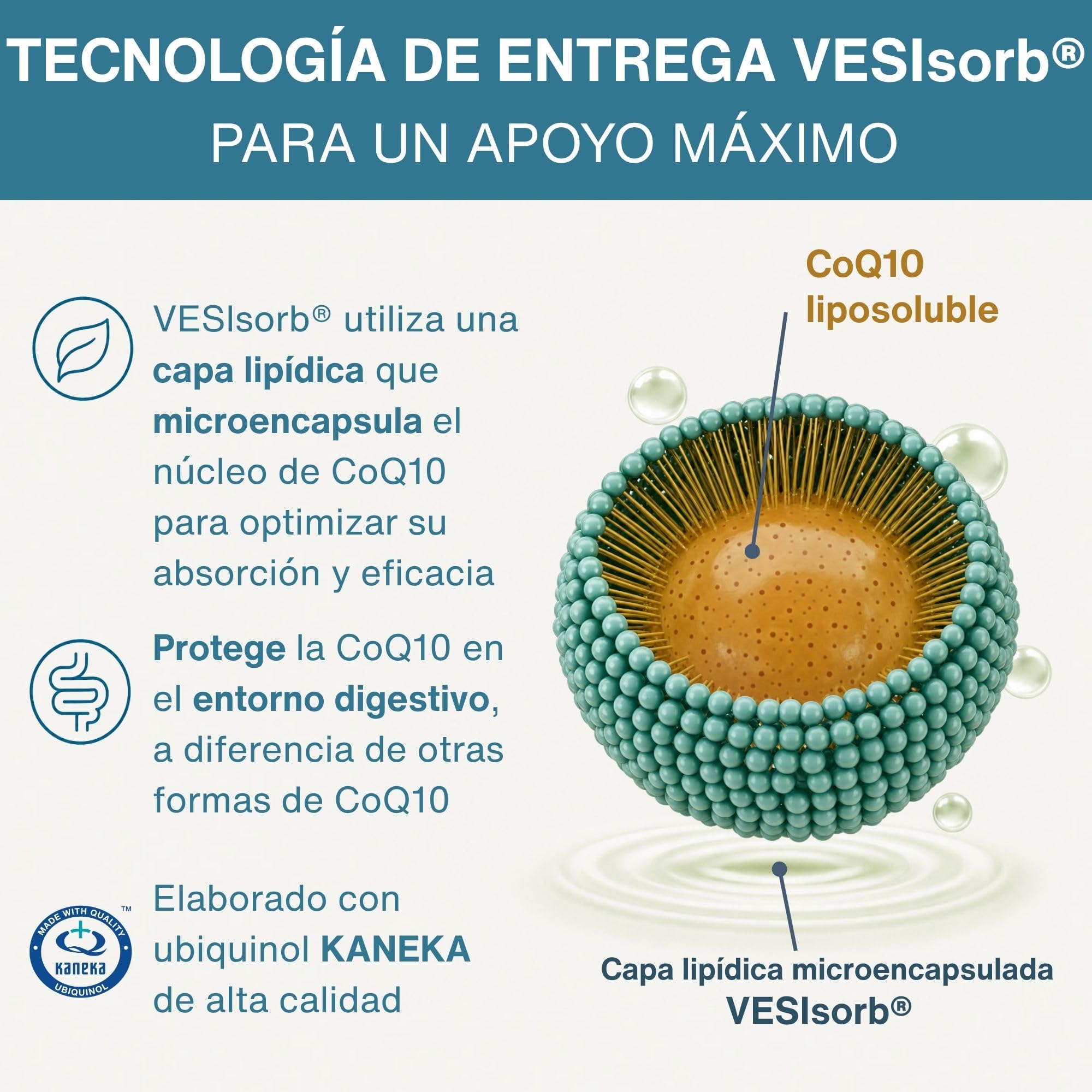 Igennus Advanced Kaneka Ubiquinol 100 mg, Sistema VESISorb, 600% de Biodisponibilidad, 30 Cápsulas Blandas, Suplemento de Coenzima Q10 Hidrosoluble de Acción Rápida para Energía, Suministro para 1 Mes