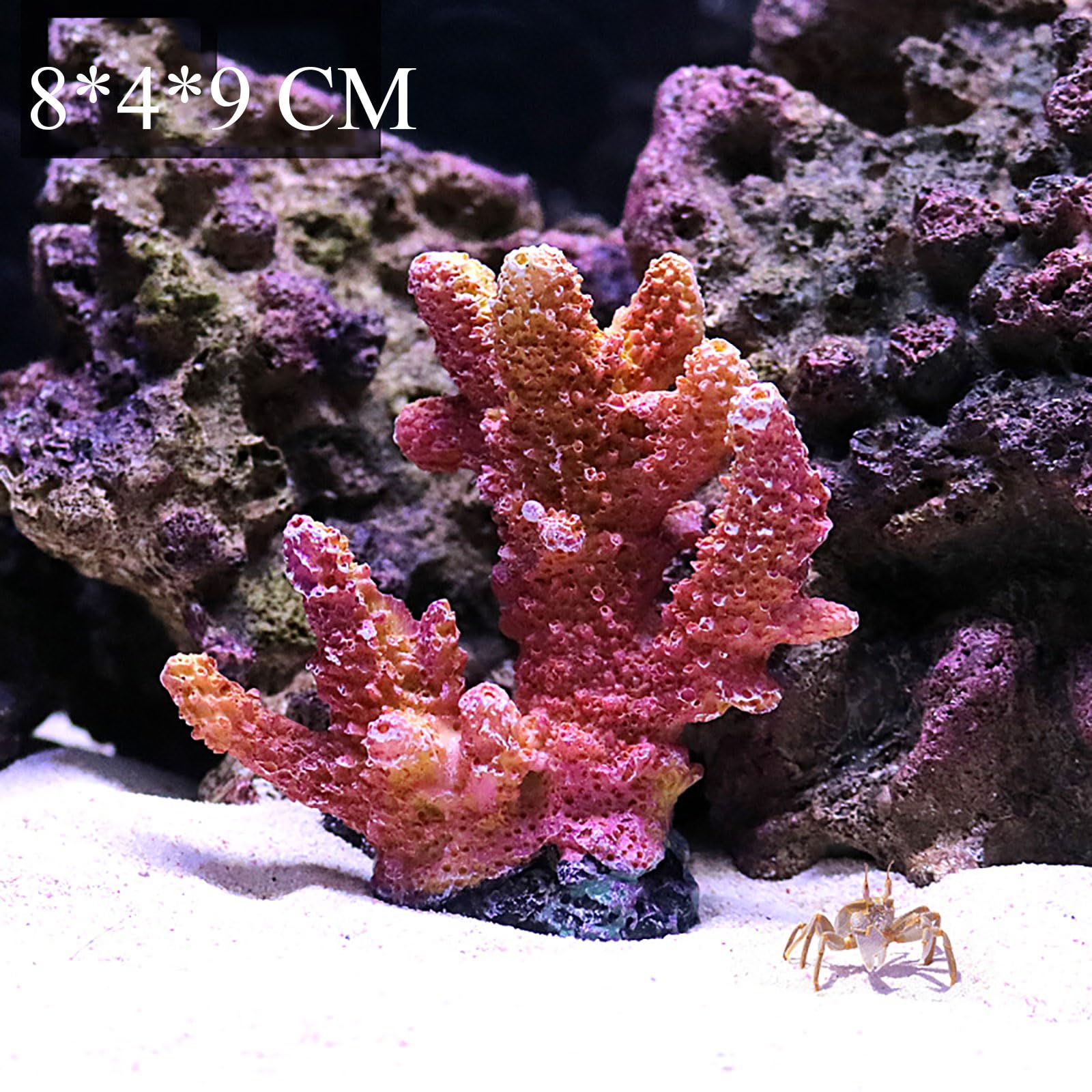 ナチュラルホワイトコーラル 水族館 造園 室内装飾品 家の装飾 石鉱物標本 714sIJxqVDL._AC_UL210_SR210,