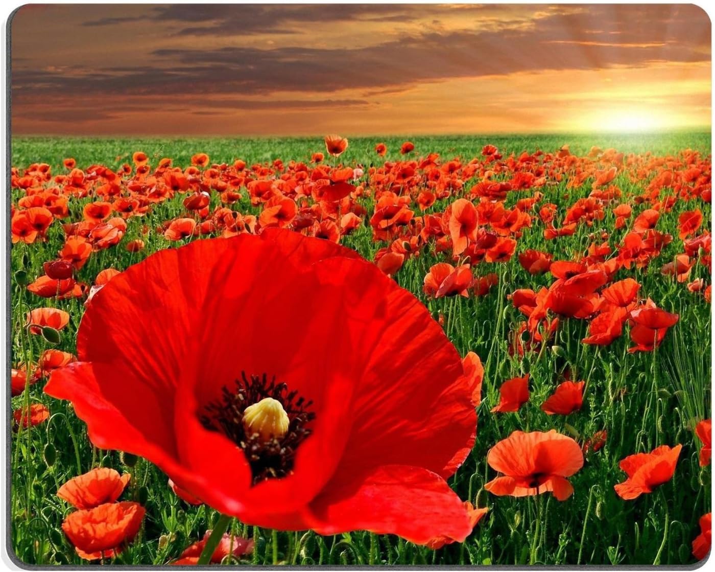Poppy Field under Sunset red flowers vibrant clouds sunray Mouse Pads Customized Made to Order Support Ready 9 7/8 Inch (250mm) X 7 7/8 Inch (200mm) X 1/16 Inch (2mm) Eco Friendly Cloth with Neoprene Rubber Liil Mouse Pad Desktop Mousepad Laptop Mousepads Comfortable Computer Mouse Mat Cute Gaming Mouse_pad
