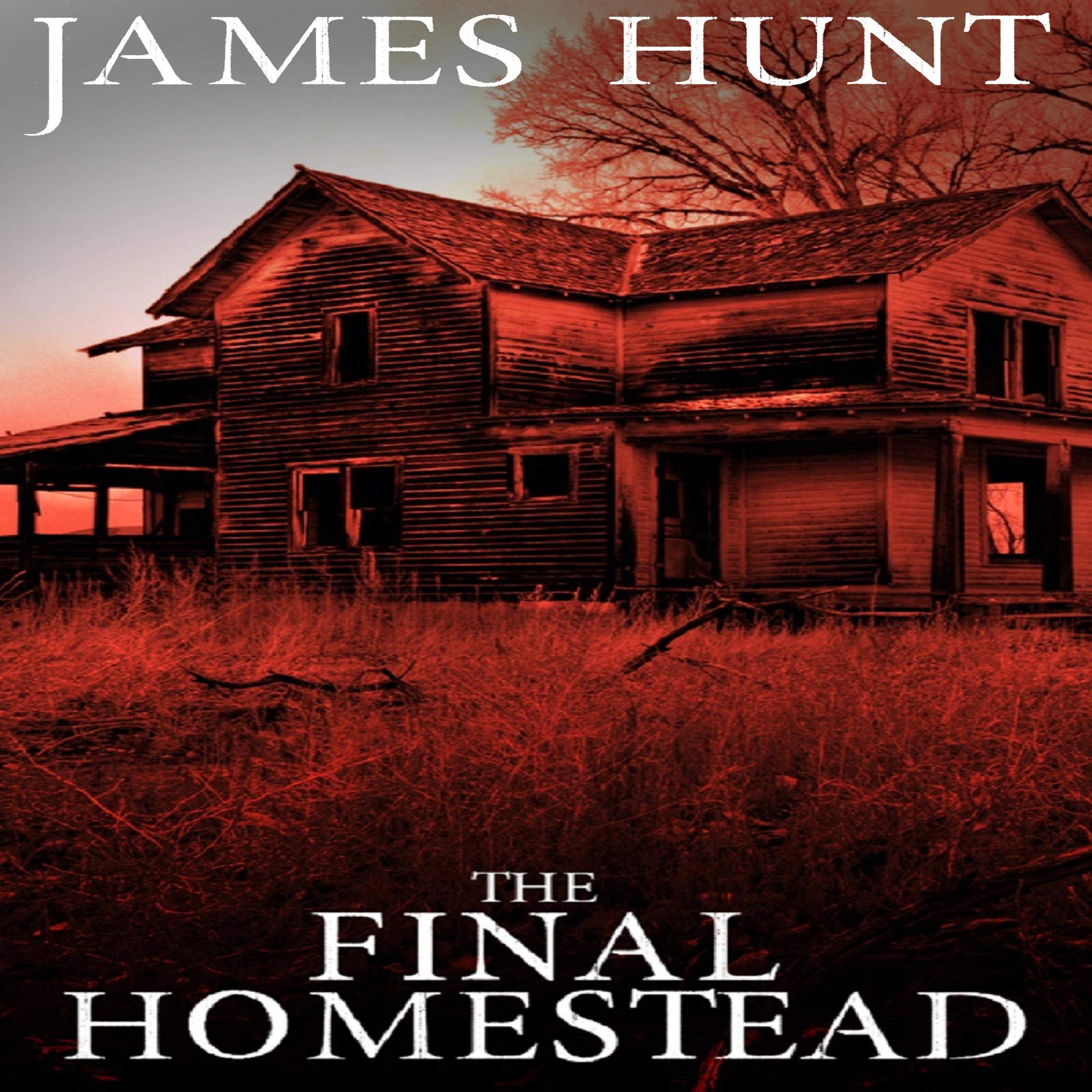 Cover art for The Final Homestead