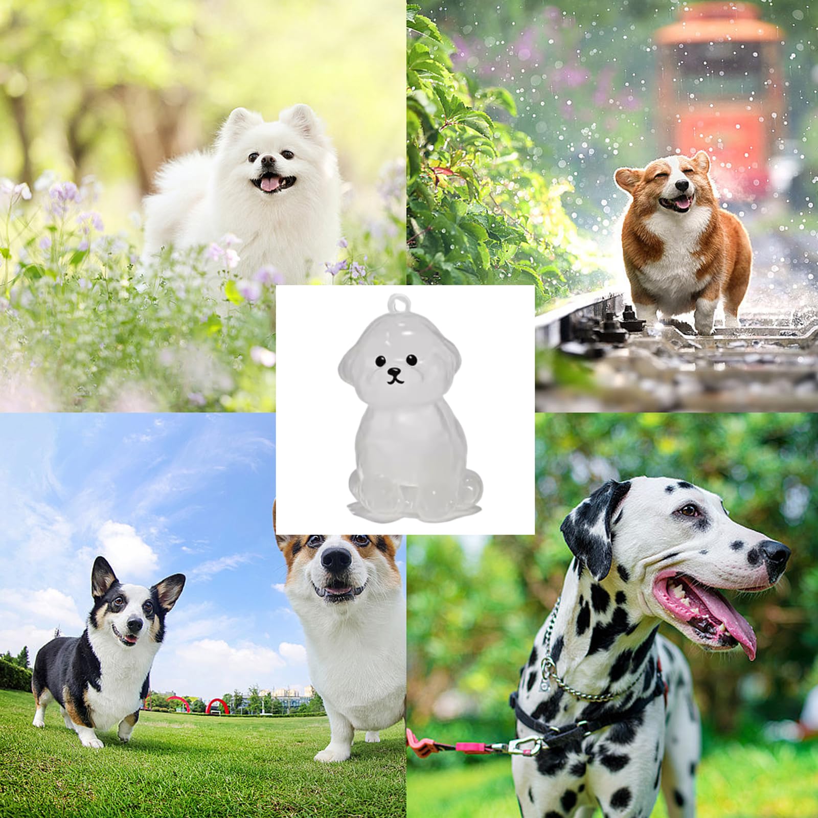 3 Stück Hundehaar Sammler Schlüsselanhänger Charme Hundehaar Halter