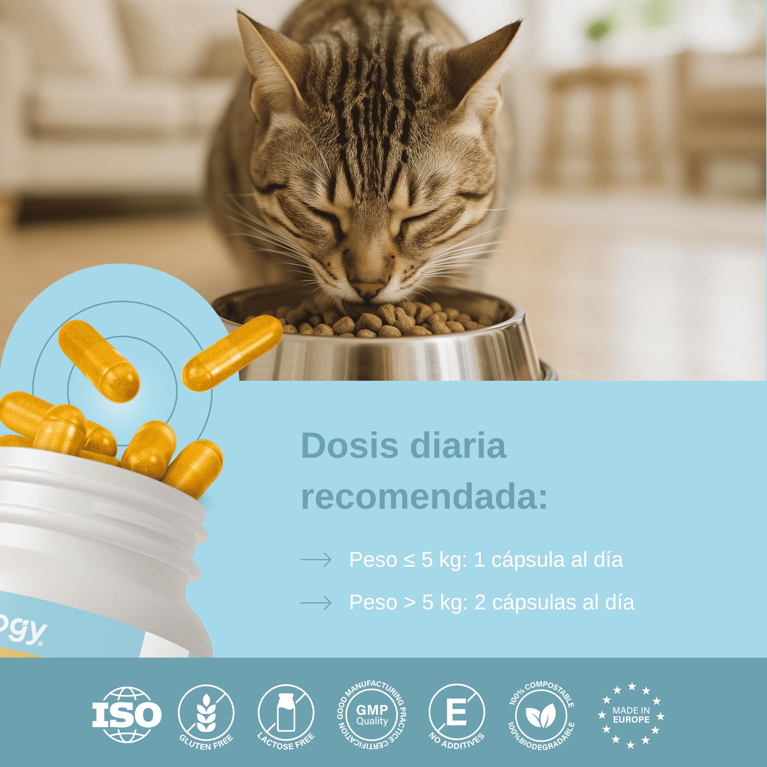 Condroprotector para Gatos. Antiinflamatorio Natural con Colágeno, Condroitina, Hialurónico y Cúrcuma. Complemento Alimenticio para Caderas, Articulaciones y Cartílagos. (120 Cápsulas)