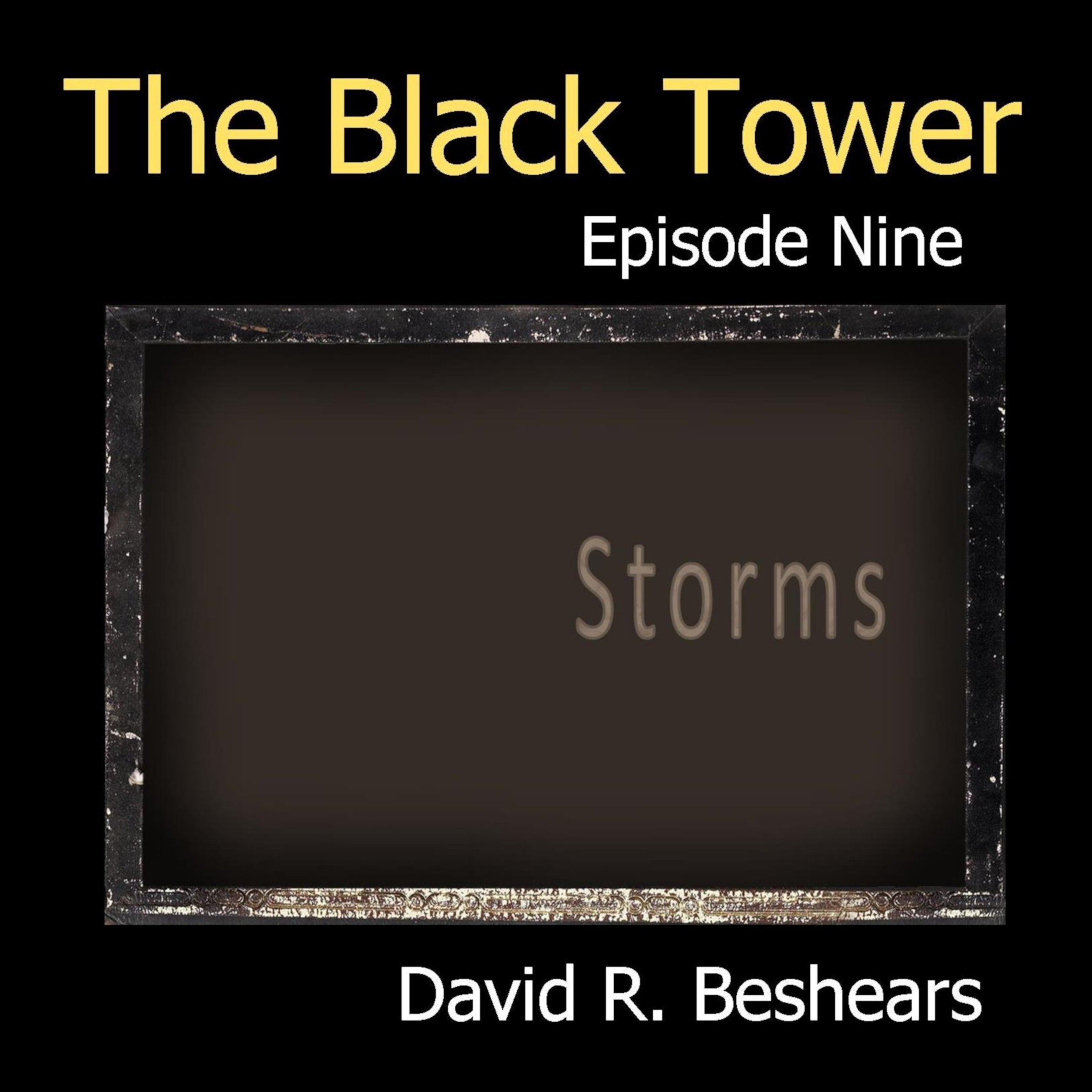 Cover art for Storms: The Black Tower, Book 9