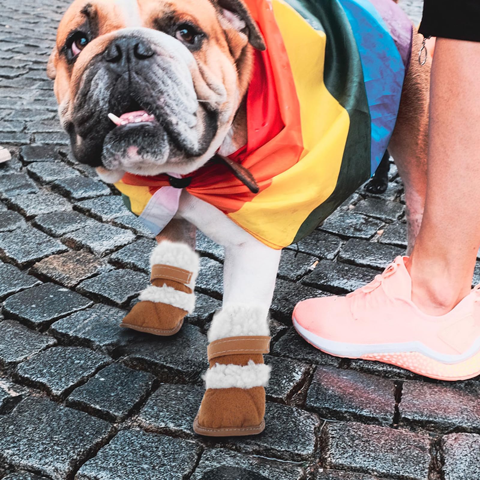 Housoutil 6paia Scarpe Antiscivolo per Cani Stivali Impermeabili e Caldi per Cuccioli per Inverno e attività all Aperto