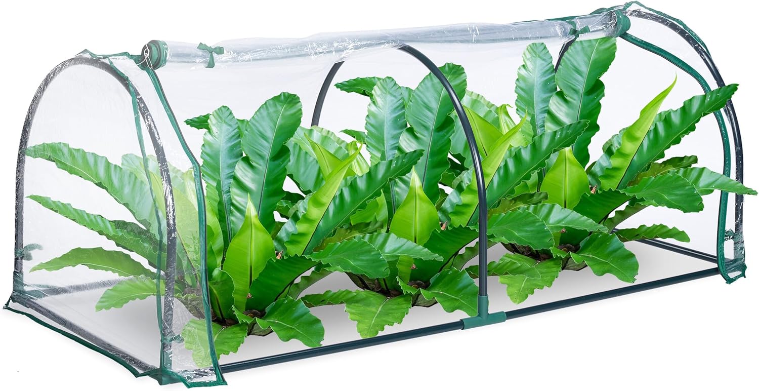 Relaxdays Foil Greenhouse, Plug-in System, Roll-Up Door, H x W x D: 50 x 130 x 60 cm, Steel & PVC, Transparent, Green