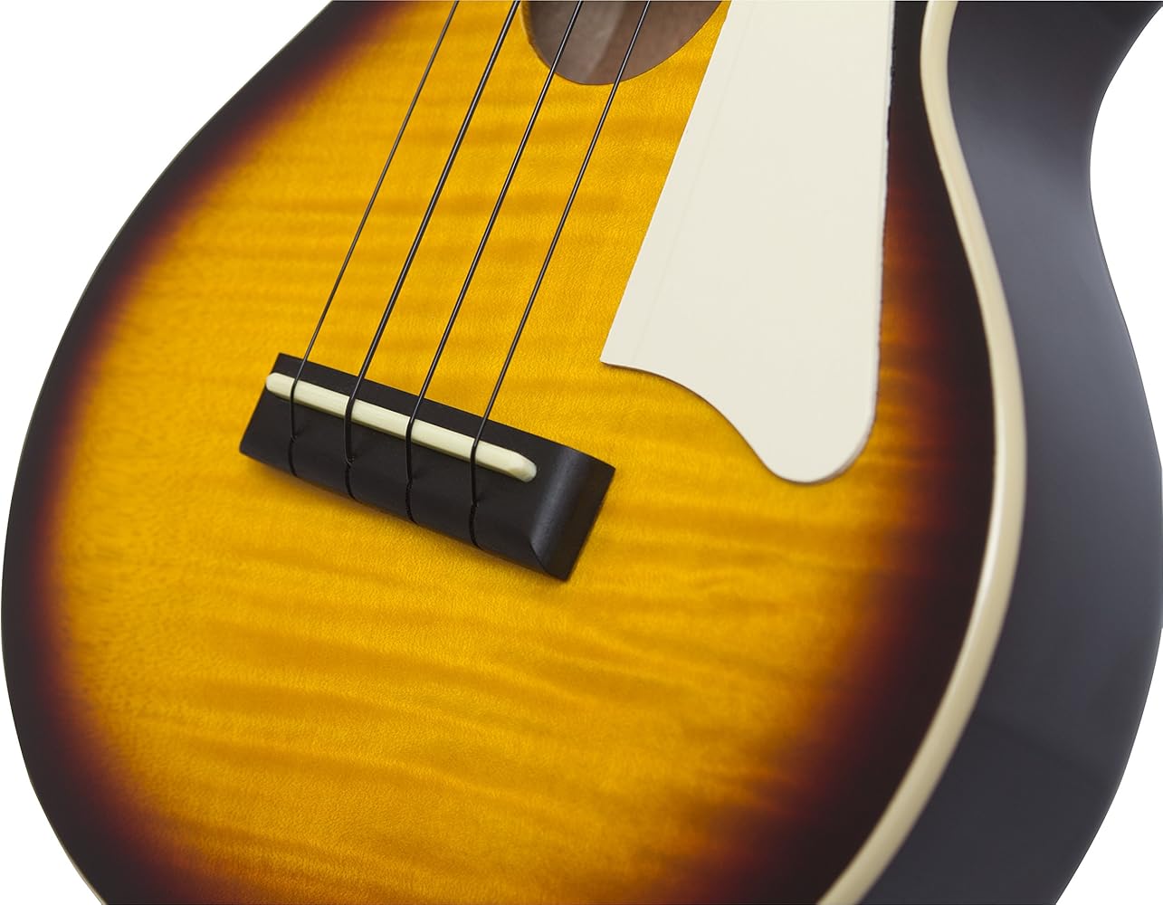 Amazon.co.jp: エピフォン Epiphone Les Paul Acoustic Electric