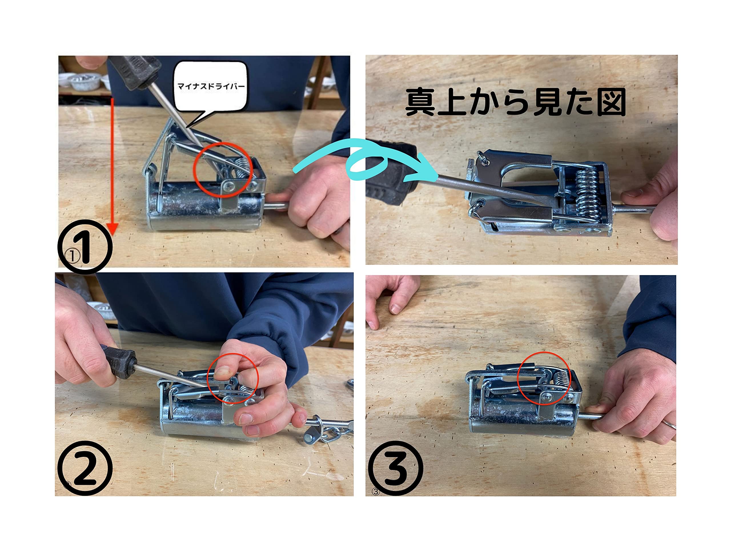 Amazon | アラホール アライグマ専用捕獲機 (4set) | 害獣・害虫対策器