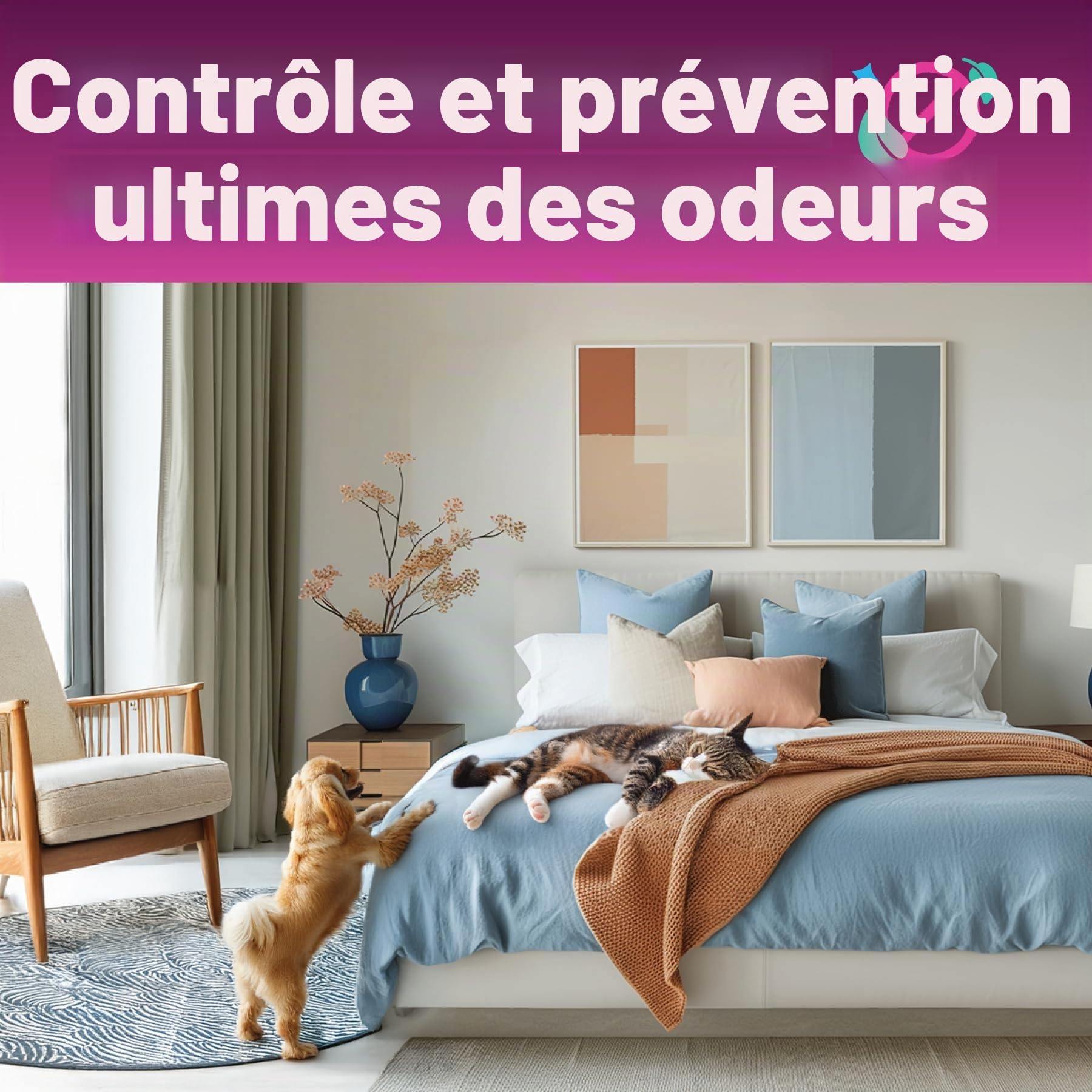 Dirtbusters Nettoyant Désodorisant Professionnel Concentré 3 en 1 pour Tapis Tissus - Neutraliseur d’Odeur, Parfum Printemps Frais, Shampooing des Moquette Machines Lavant par Extraction, 5L