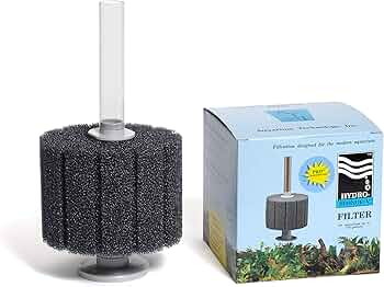 81ycaZtkqcL._AC_UF350,