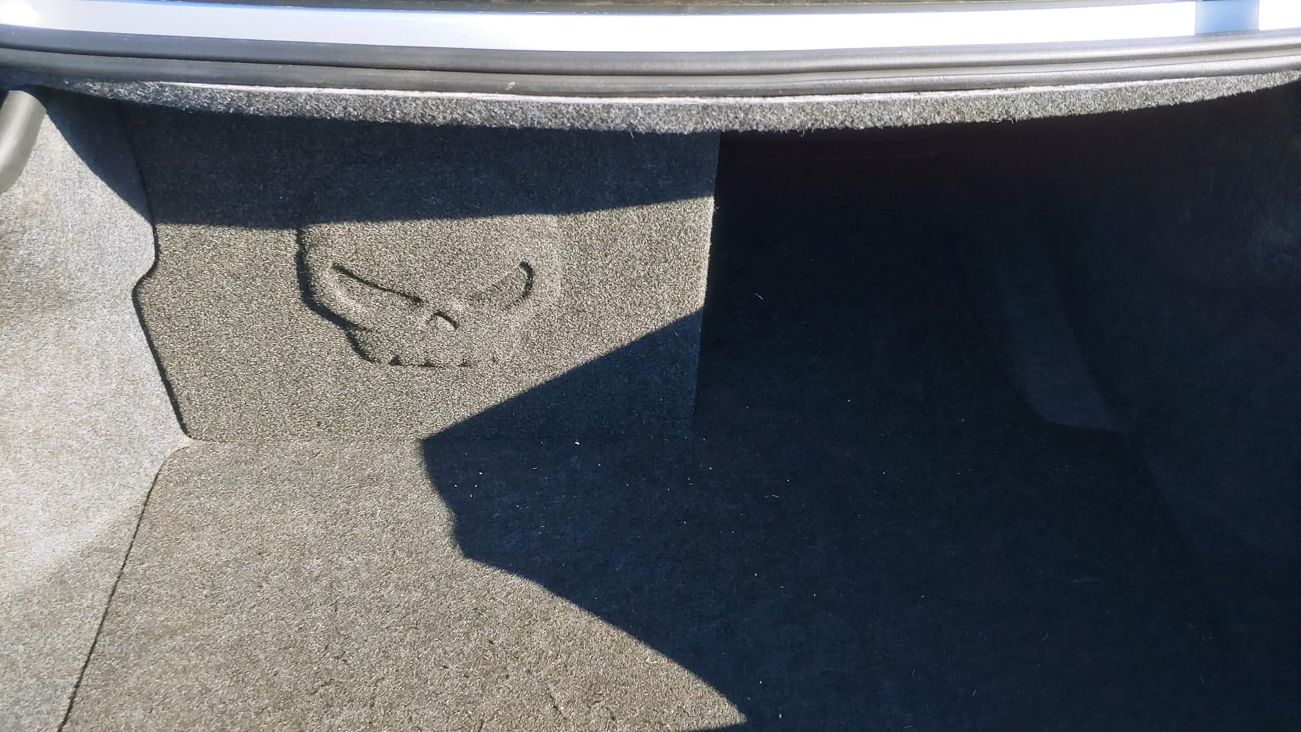 My daughter's Dodge Charger