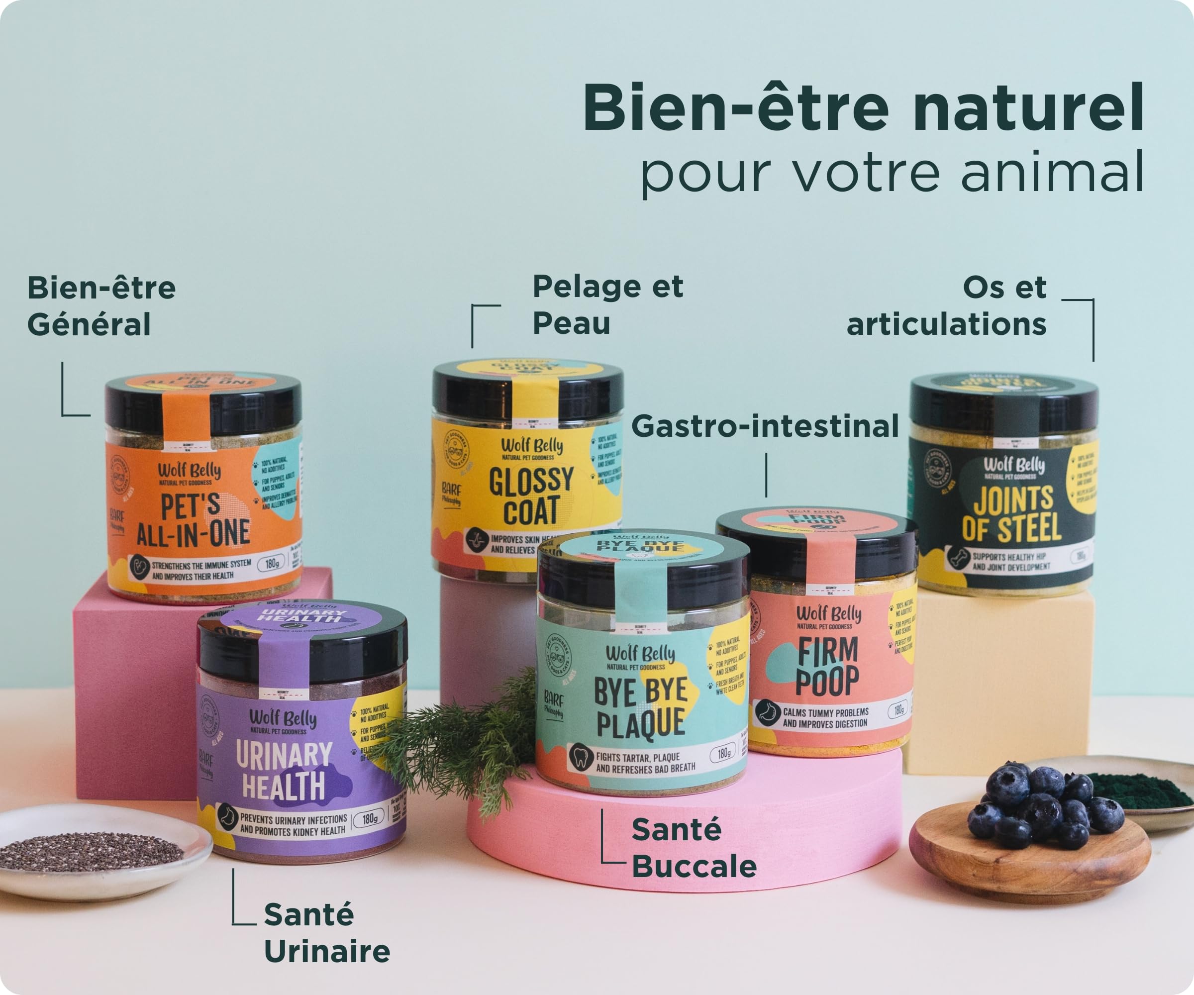 Wolf Belly - Traitement Infection Urinaire Chat et Chien 100% Naturel (180 g) Cystite Chat Médicament | Canneberge Poudre Riche en Vitamine C | Santé Reins pour Seniors et Chats - Fabriqué en Europe