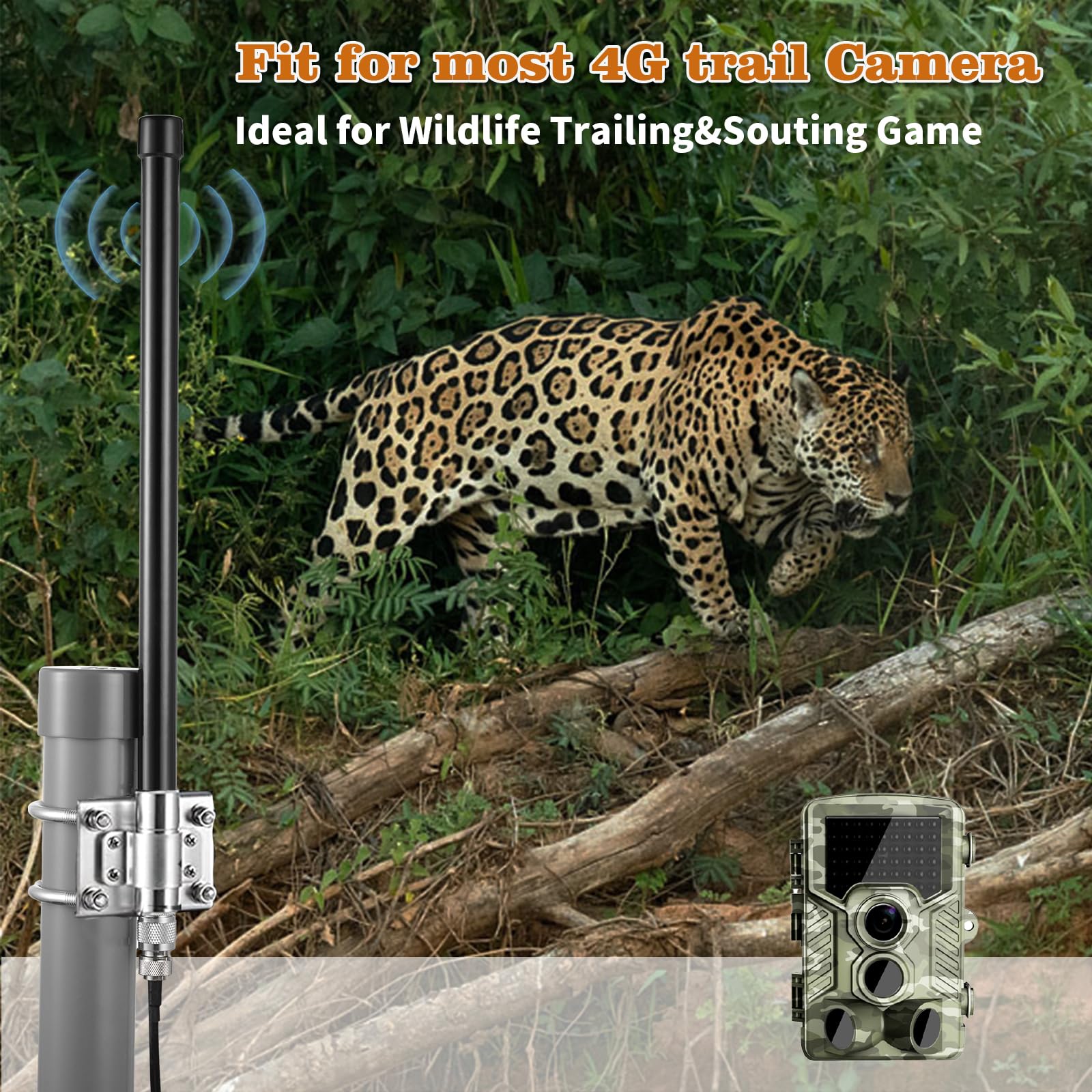 Antenne de caméra de piste cellulaire longue portée 4G LTE 10 dBi avec câble de 5 m pour caméra de trail Spypoint LM2 Flex Link Micro Link EVO Stealth Cam Tactacam Reveal X PRO Gen Series Muddy
